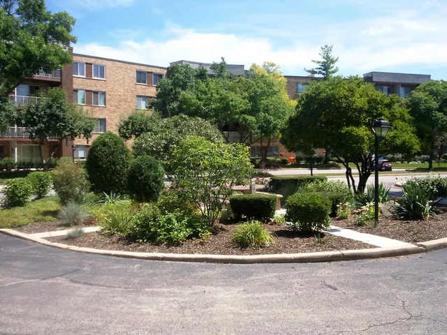 a view of a garden with plants