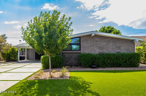 a view of a house with a yard and a large tree