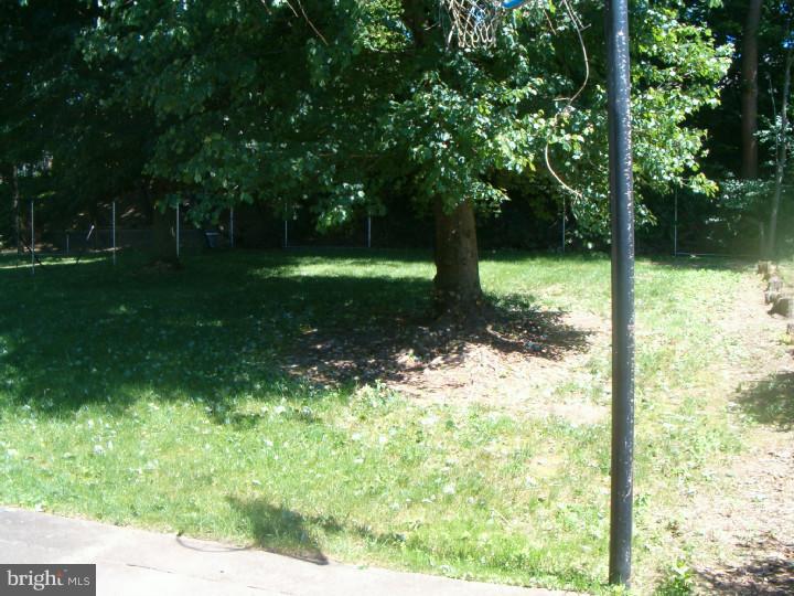 9709 Wynmill Road Philadelphia, PA 19115 - Photo 24 of 25 Back Yard