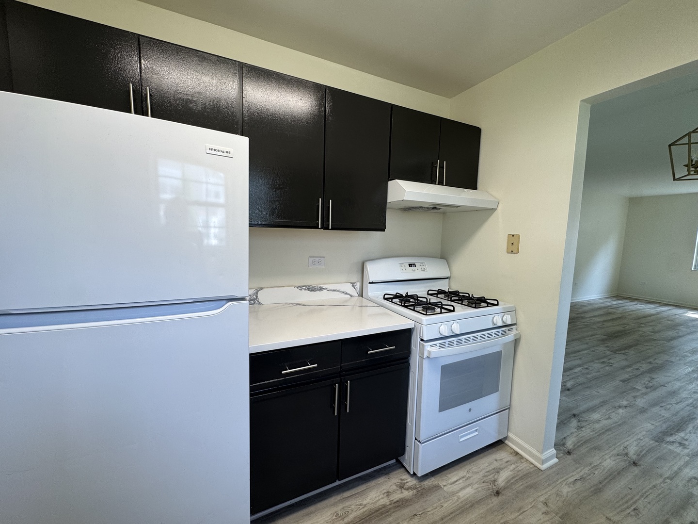458 North Lake Shore Drive Palatine, IL 60067 - Photo 14 of 25 a kitchen with a refrigerator and a stove