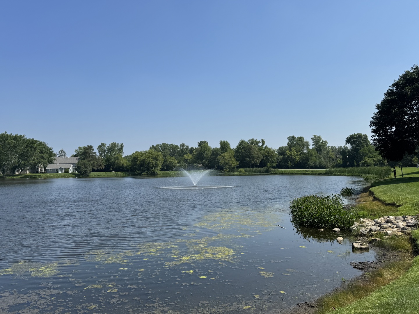 458 North Lake Shore Drive Palatine, IL 60067 - Photo 24 of 25 a view of a lake