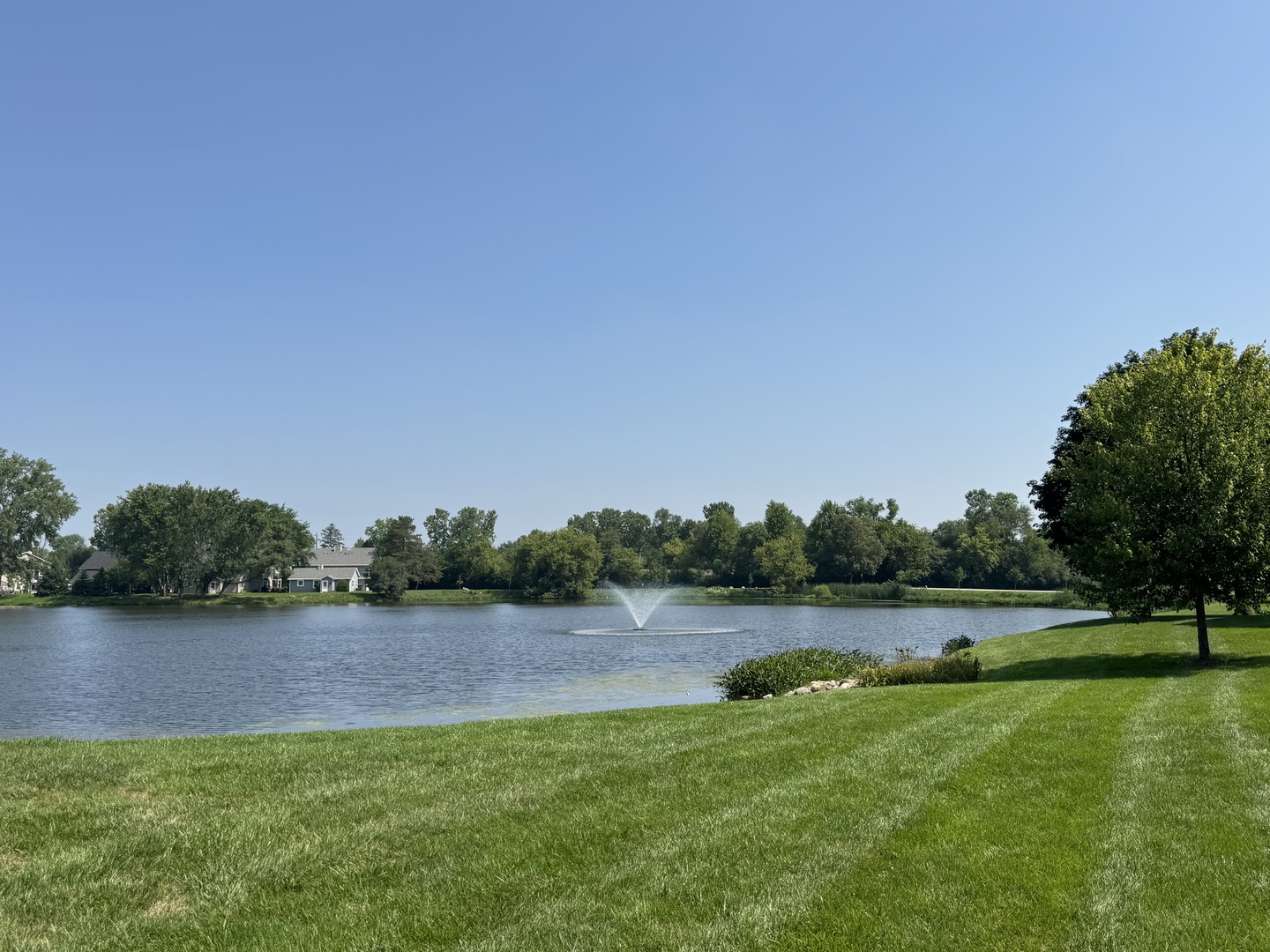 458 North Lake Shore Drive Palatine, IL 60067 - Photo 25 of 25 a view of a grassy field