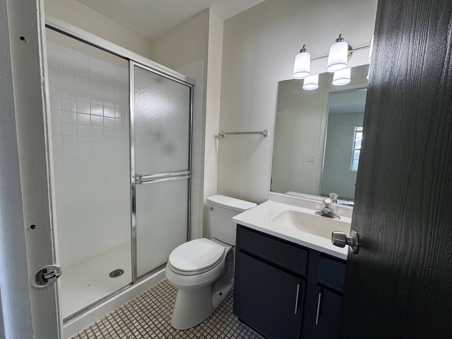 458 North Lake Shore Drive Palatine, IL 60067 - Photo 9 of 25 a bathroom with a sink a toilet and shower