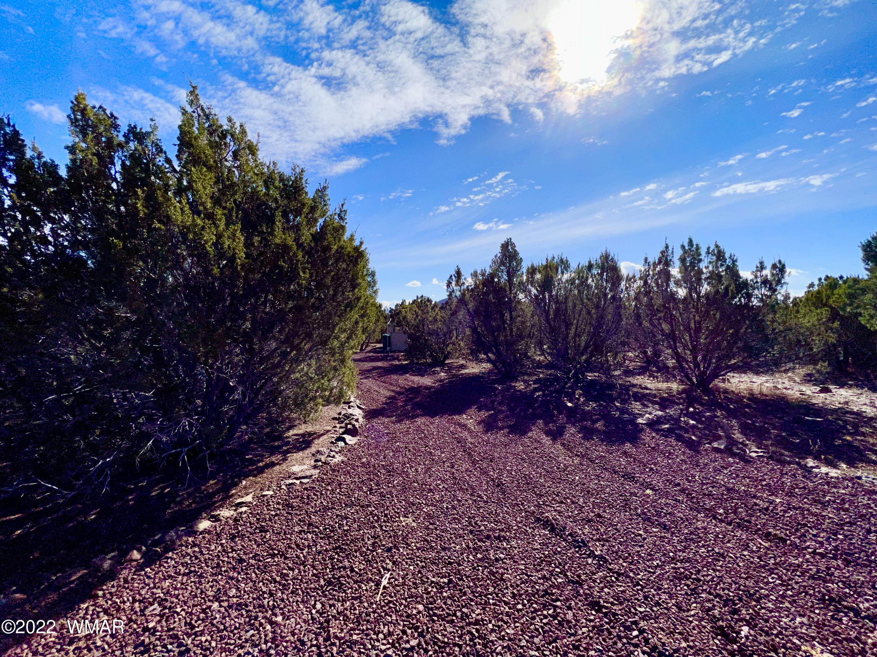 5 Co Road Vernon, AZ 85940 - Photo 14 of 31