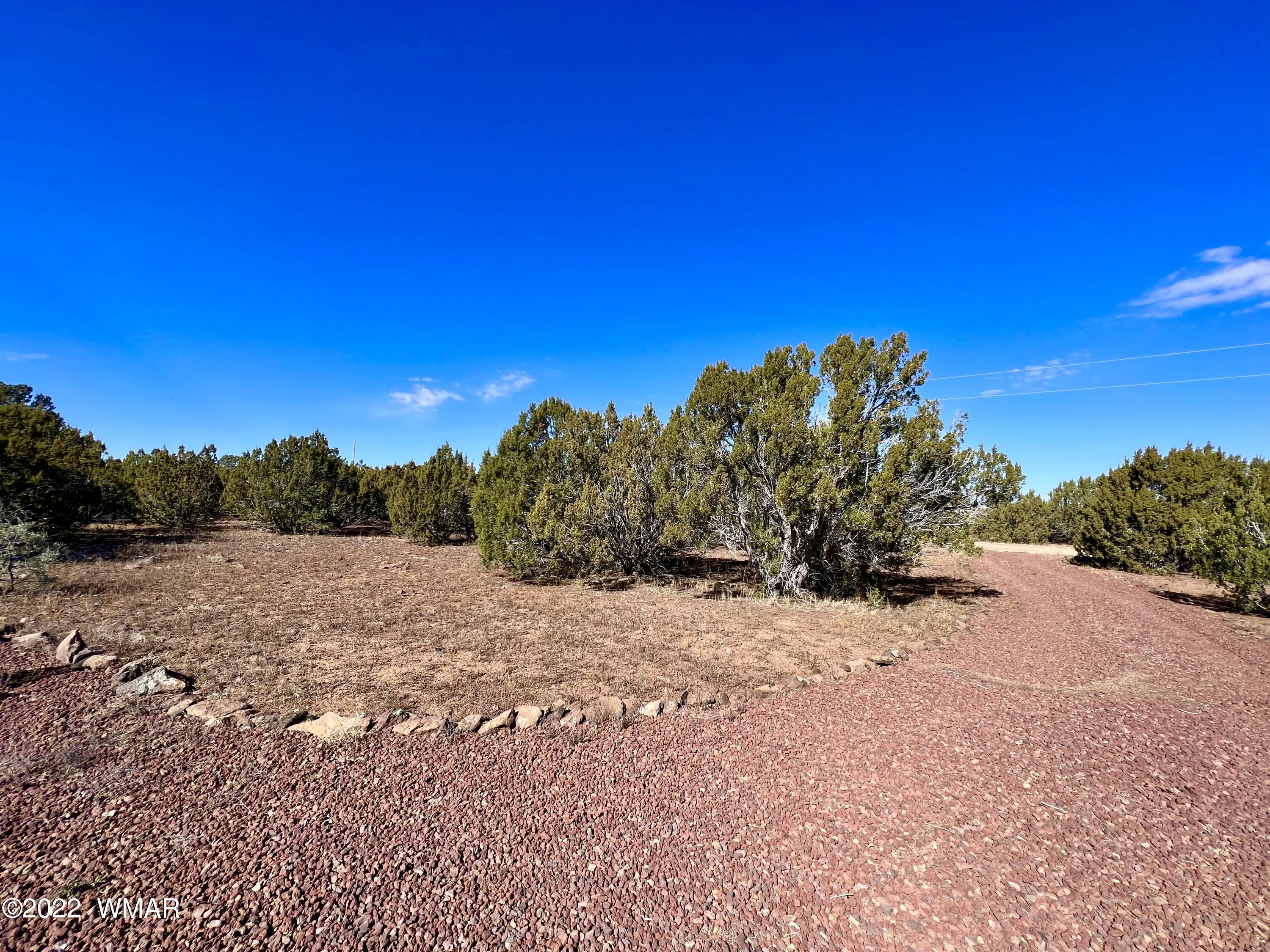5 Co Road Vernon, AZ 85940 - Photo 17 of 31