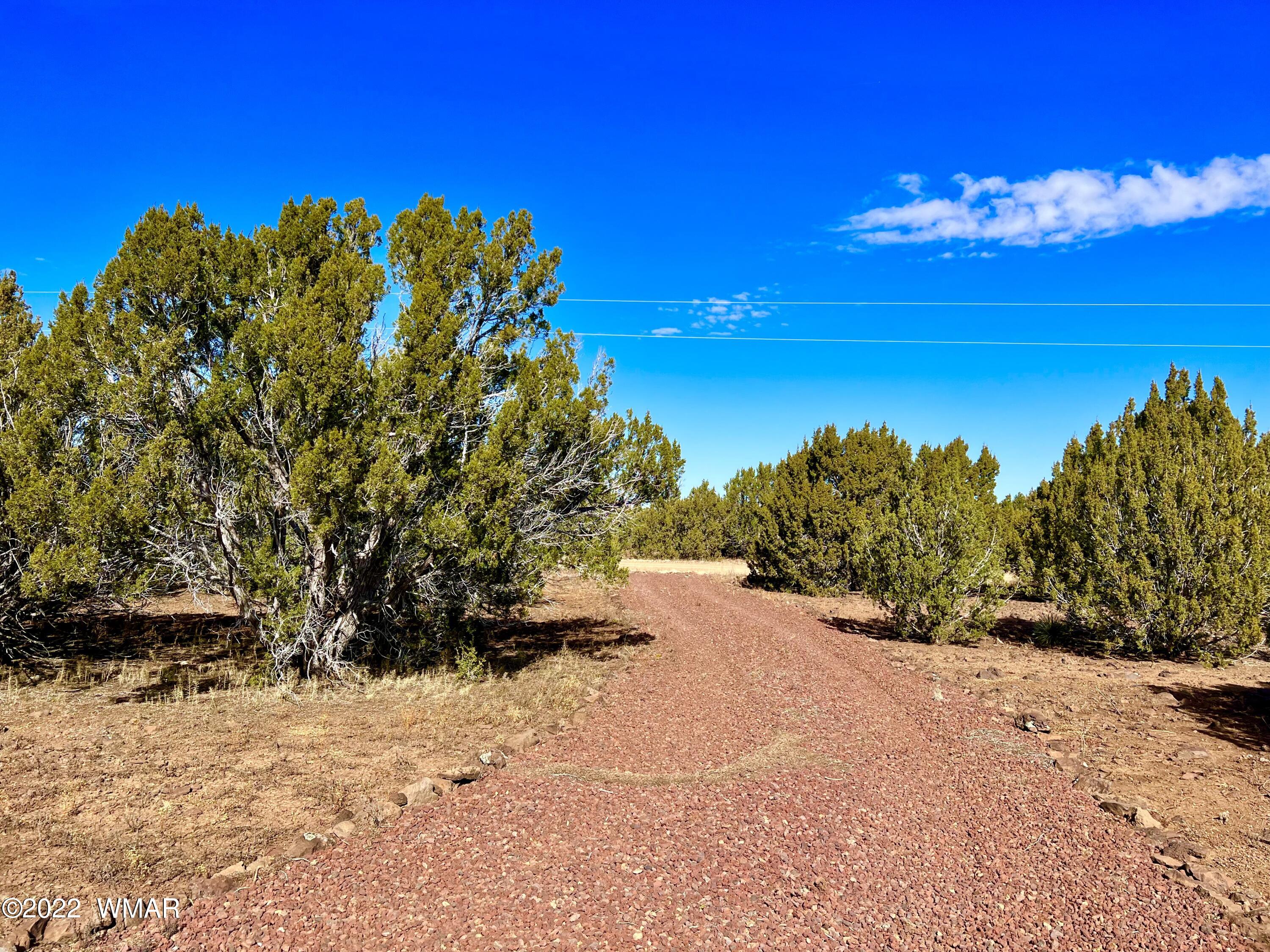 5 Co Road Vernon, AZ 85940 - Photo 18 of 31