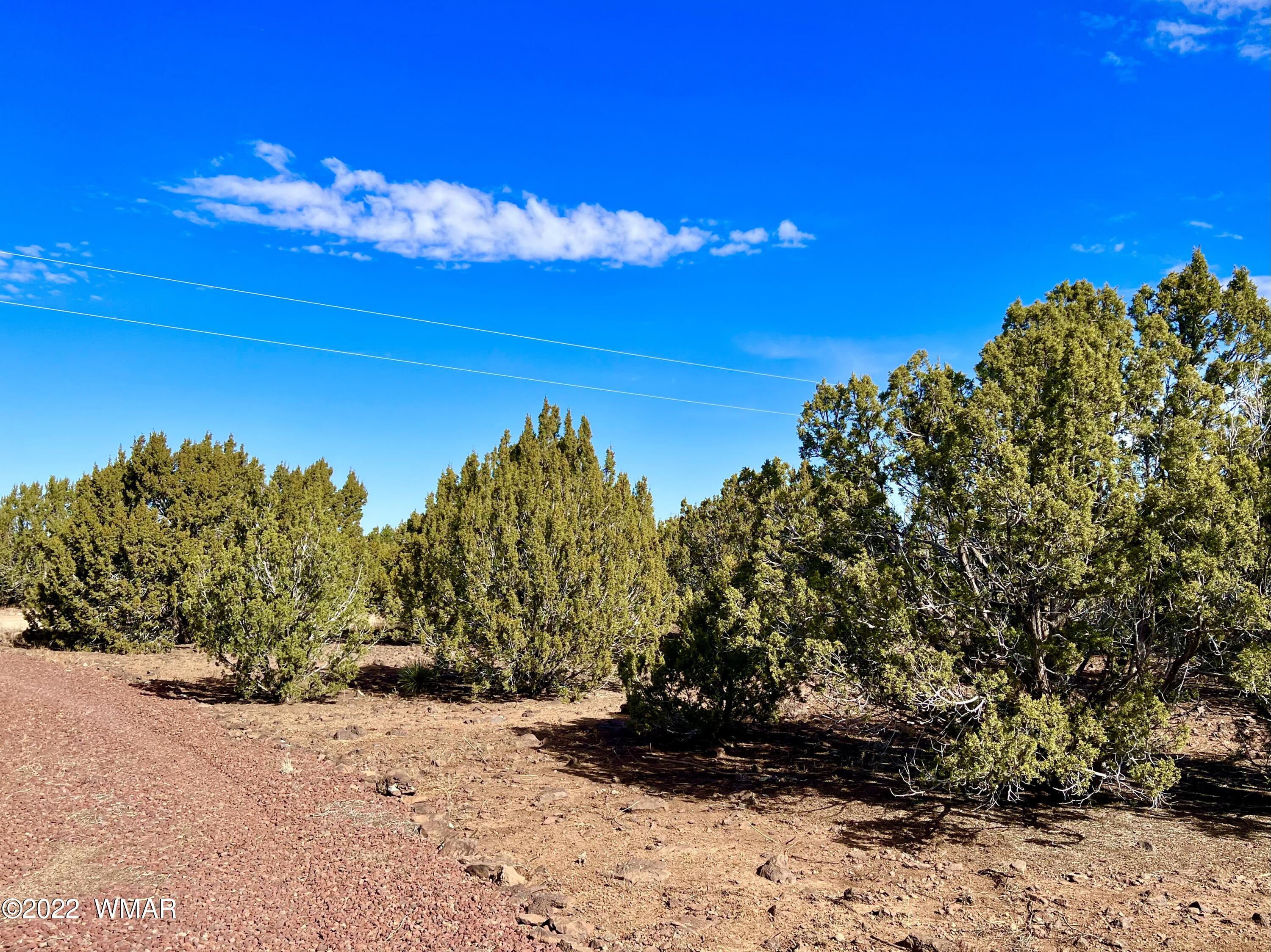 5 Co Road Vernon, AZ 85940 - Photo 19 of 31