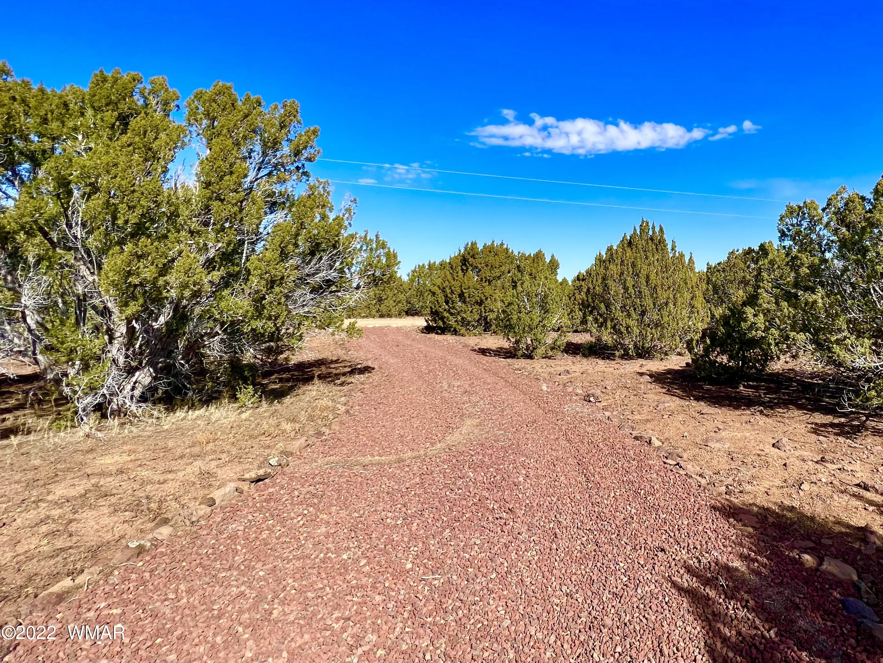 5 Co Road Vernon, AZ 85940 - Photo 20 of 31