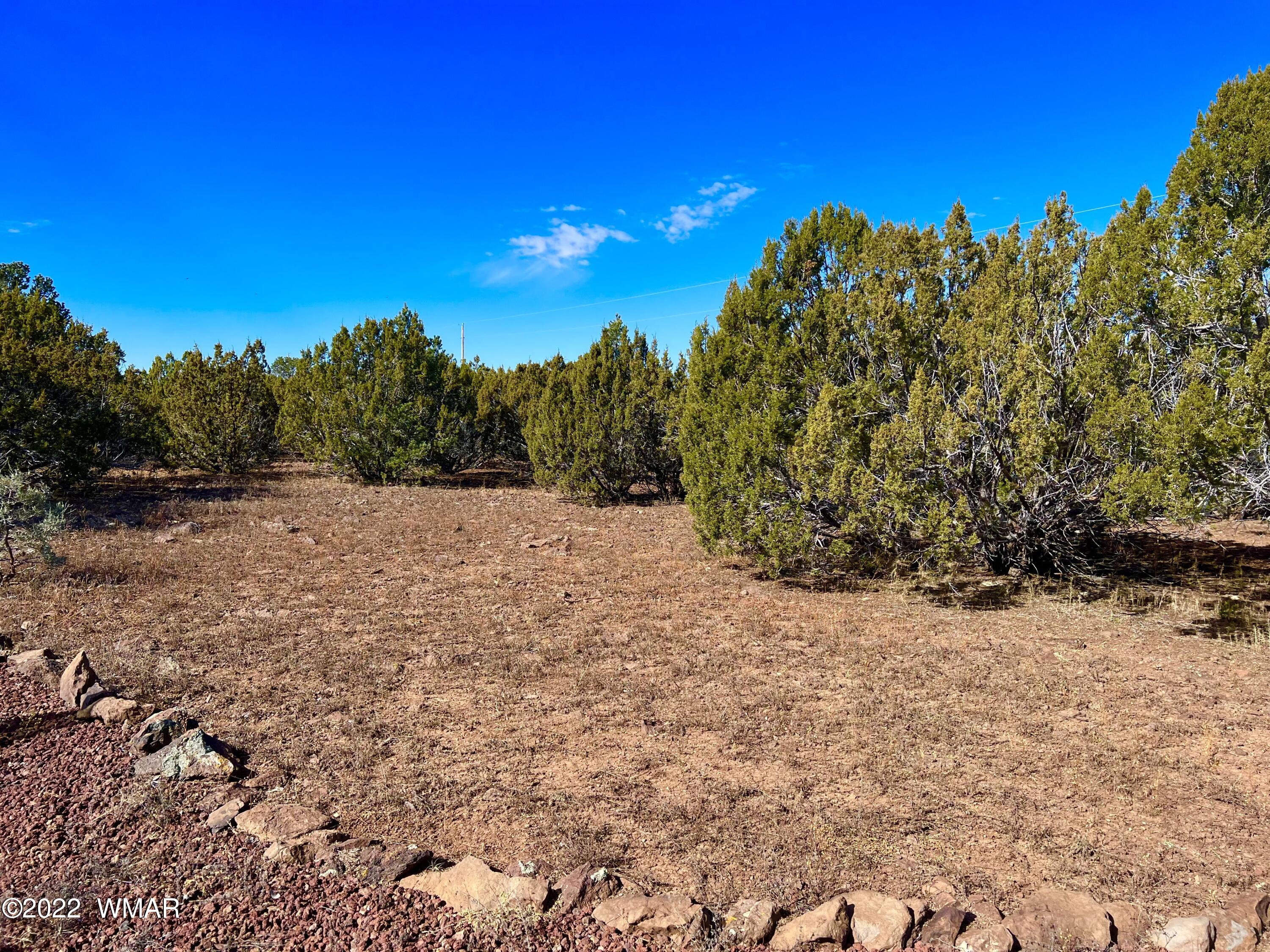 5 Co Road Vernon, AZ 85940 - Photo 22 of 31