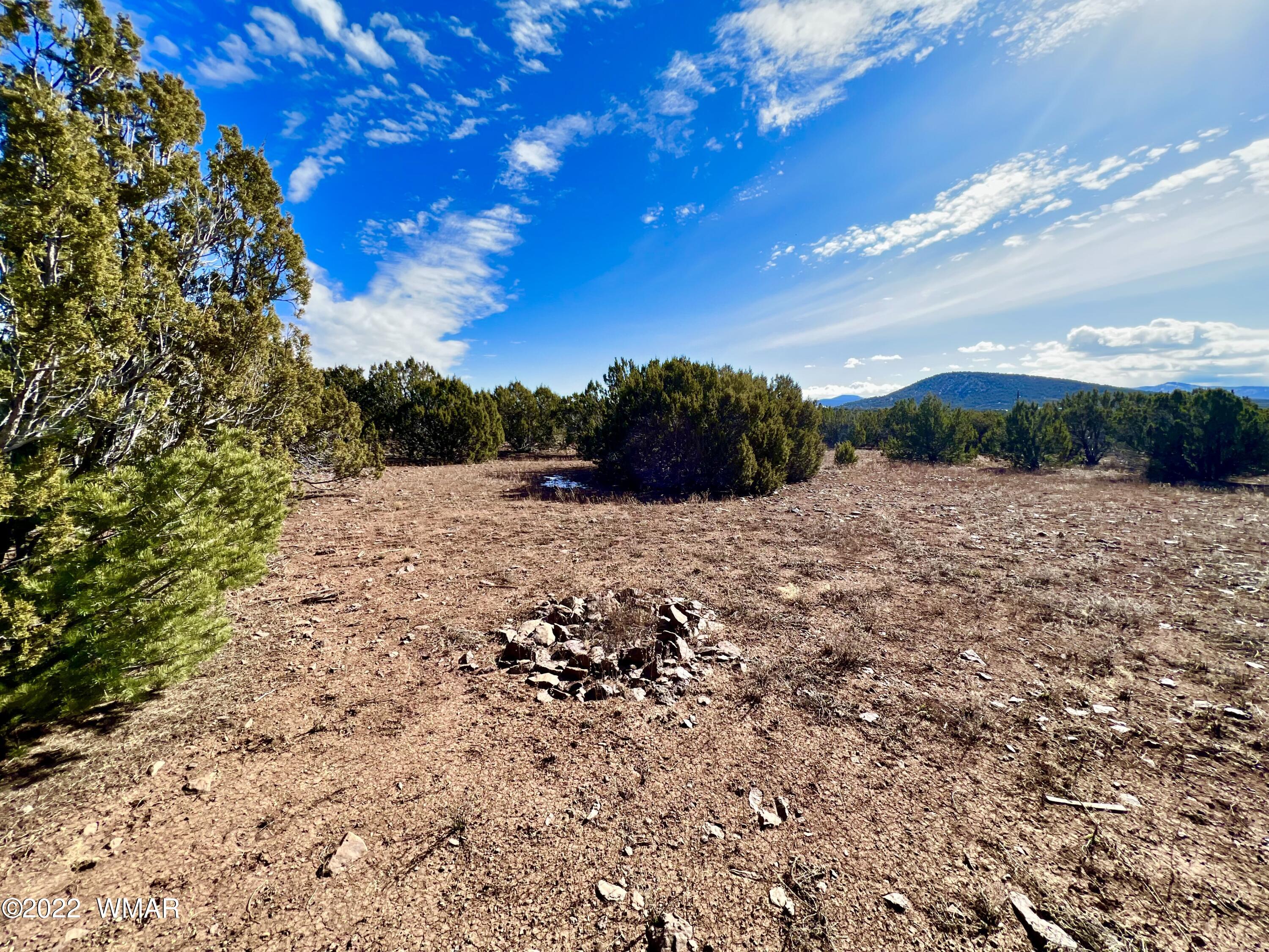 5 Co Road Vernon, AZ 85940 - Photo 23 of 31
