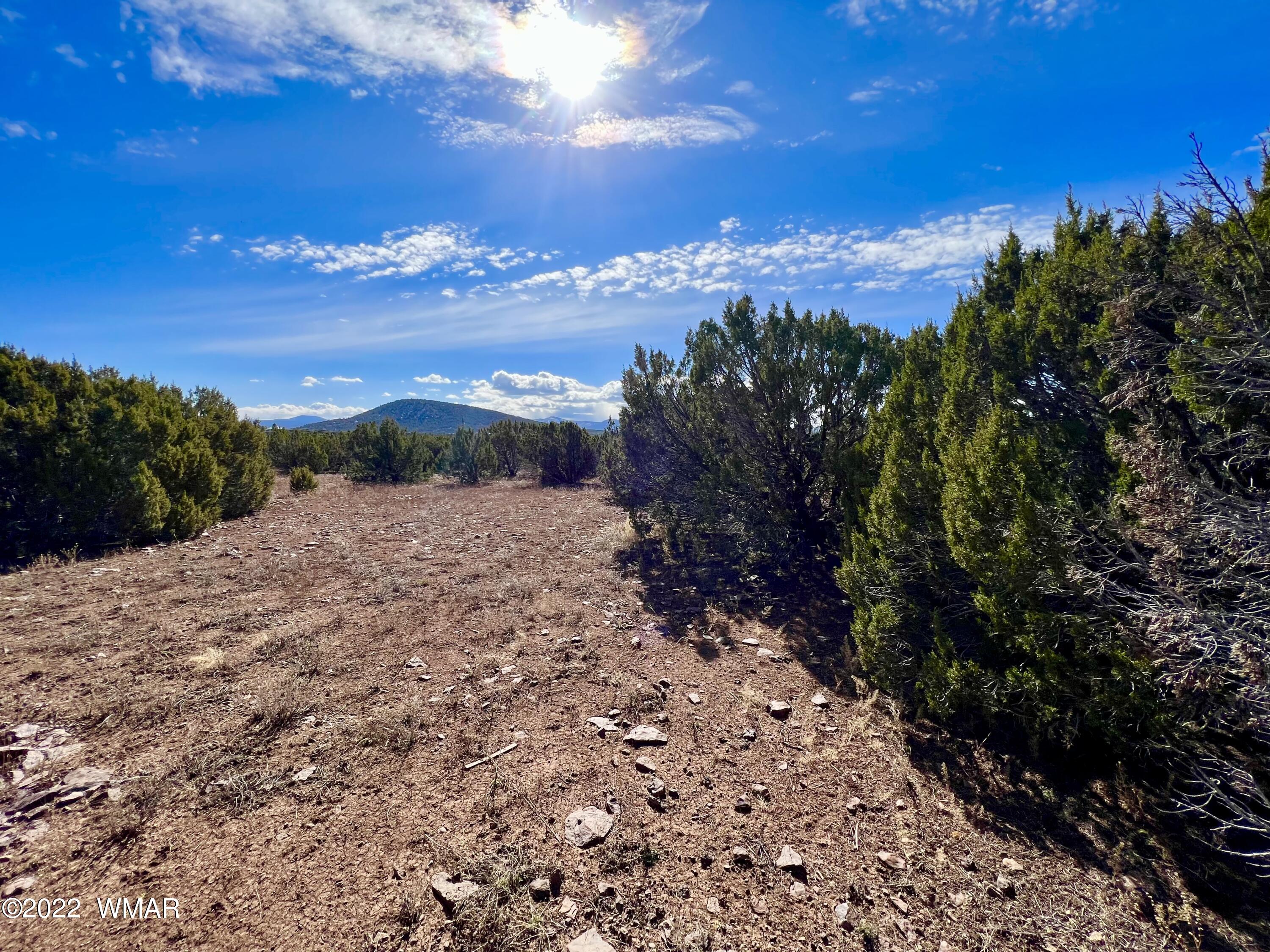 5 Co Road Vernon, AZ 85940 - Photo 24 of 31