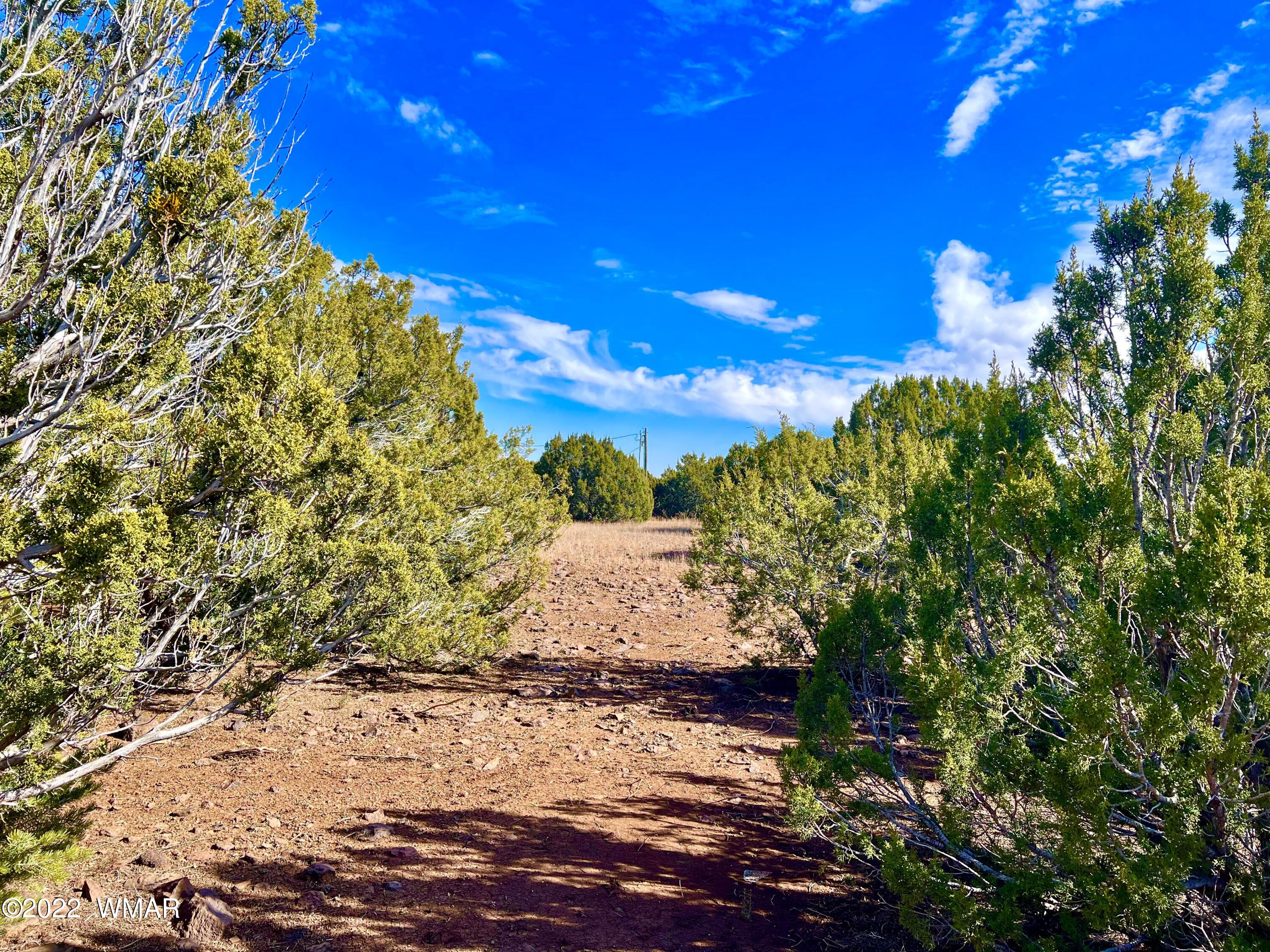 5 Co Road Vernon, AZ 85940 - Photo 25 of 31