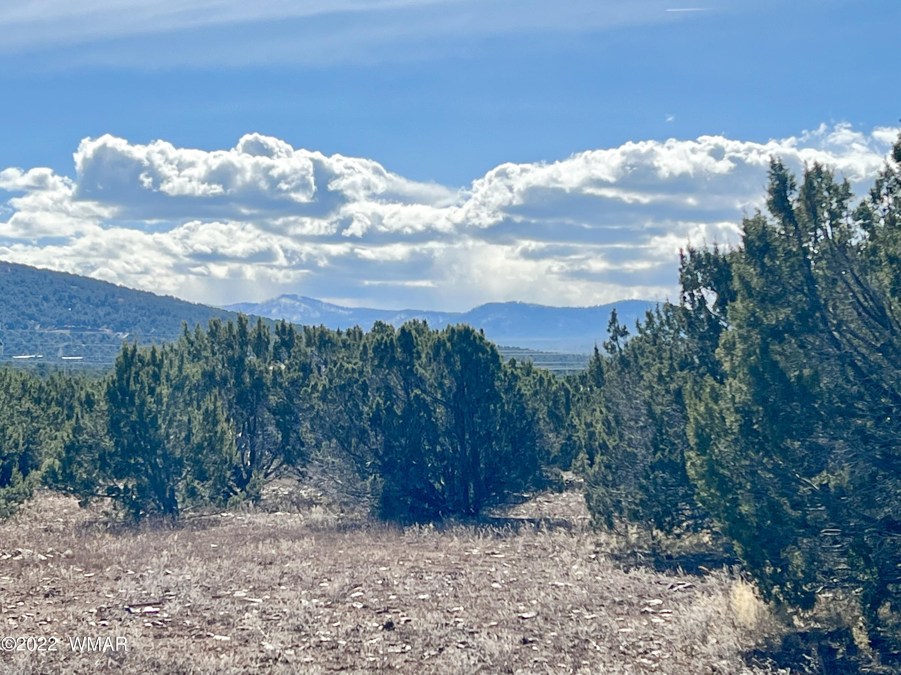 5 Co Road Vernon, AZ 85940 - Photo 26 of 31