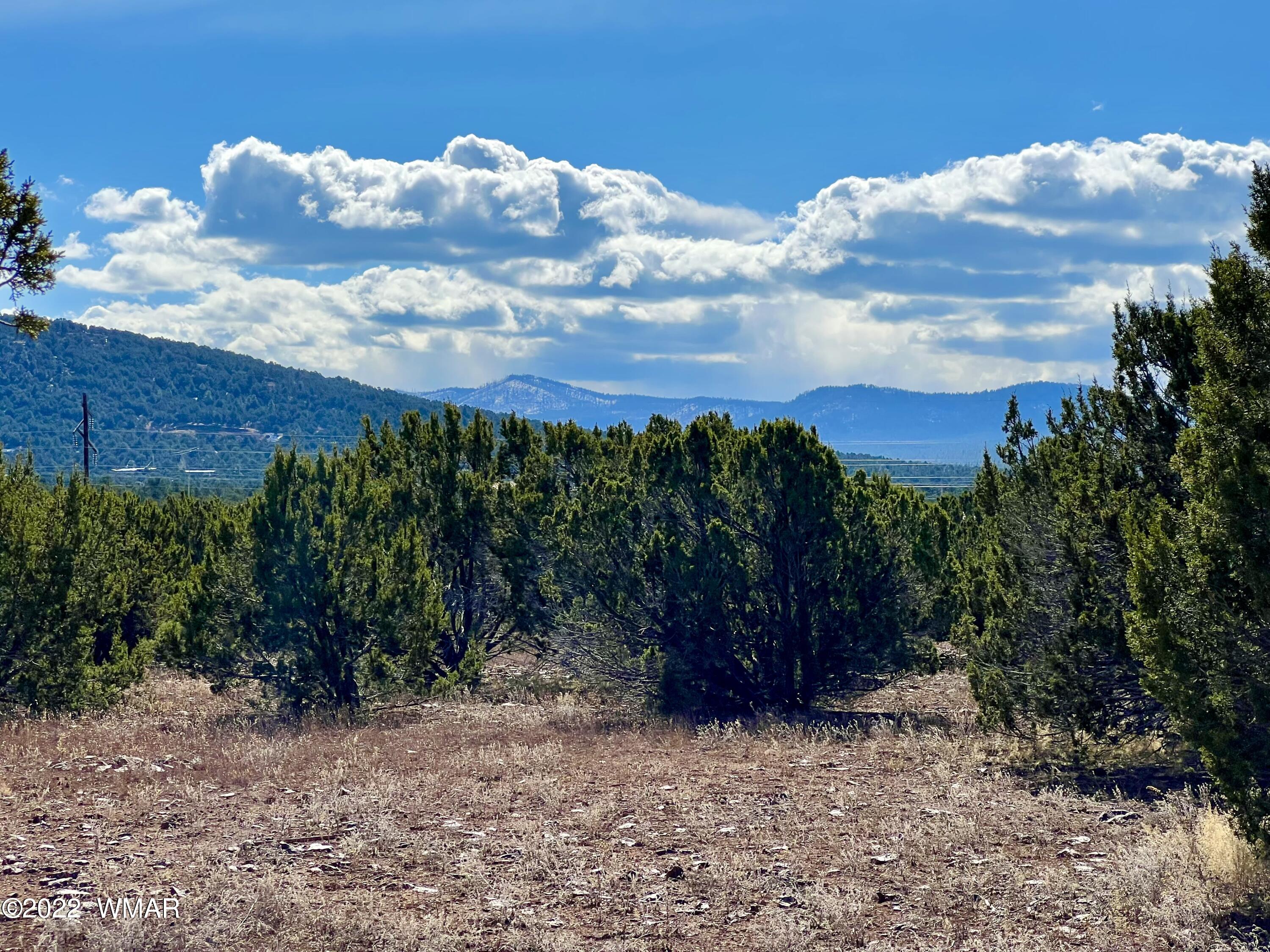 5 Co Road Vernon, AZ 85940 - Photo 27 of 31