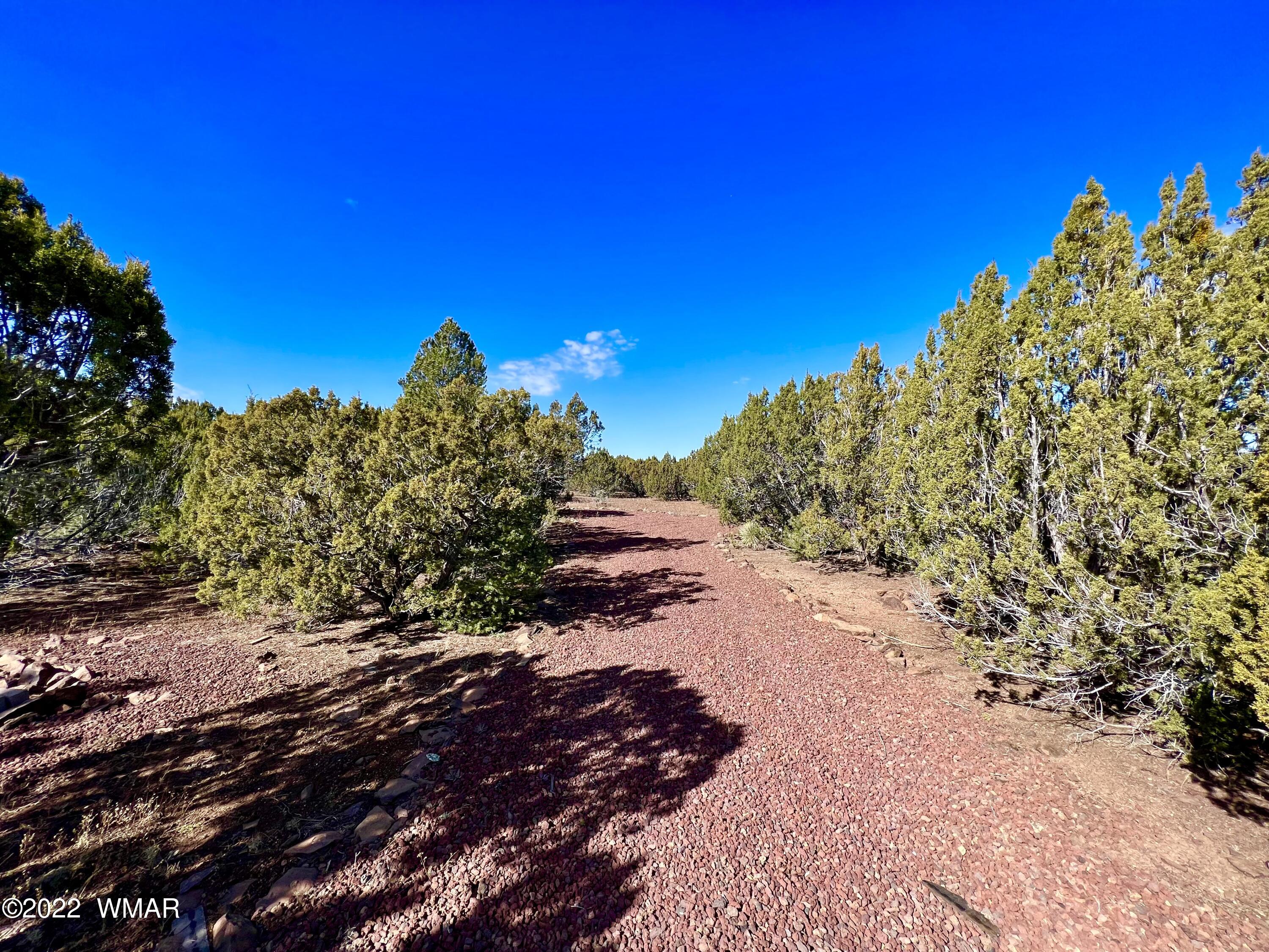 5 Co Road Vernon, AZ 85940 - Photo 28 of 31