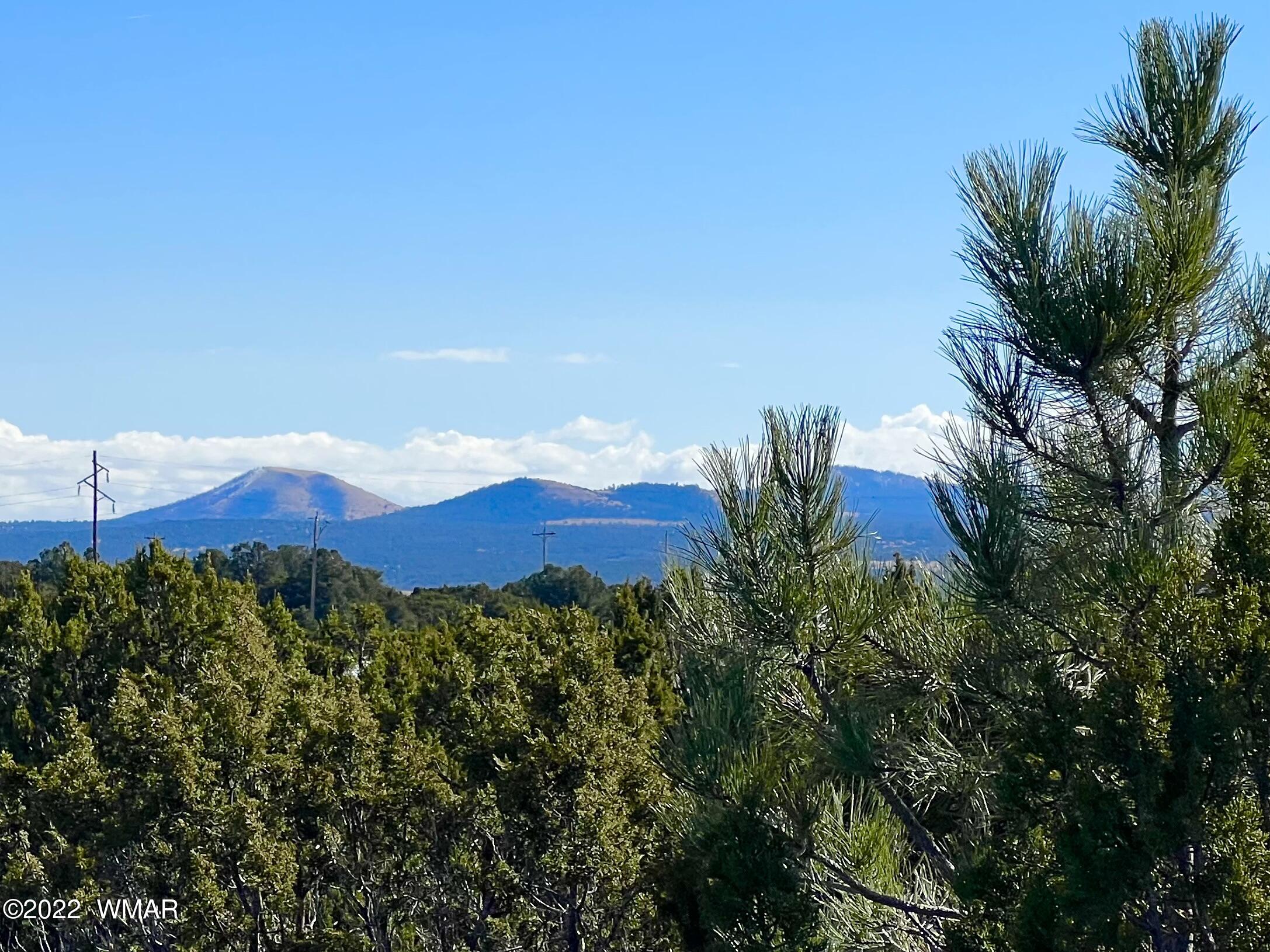 5 Co Road Vernon, AZ 85940 - Photo 4 of 31