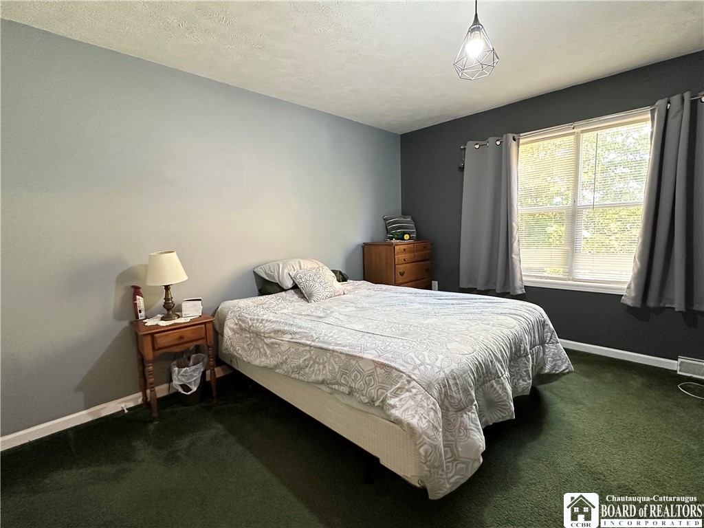 145 Ivory Street Carroll, NY 14738 - Photo 18 of 38