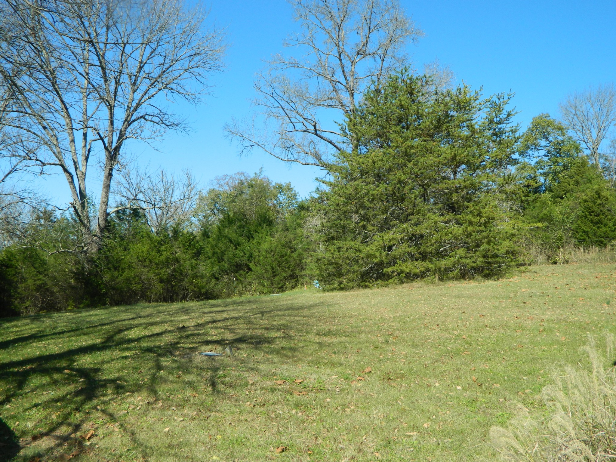 521 Chipman Road Bethpage, TN 37022 - Photo 8 of 22 Gallery Image 8