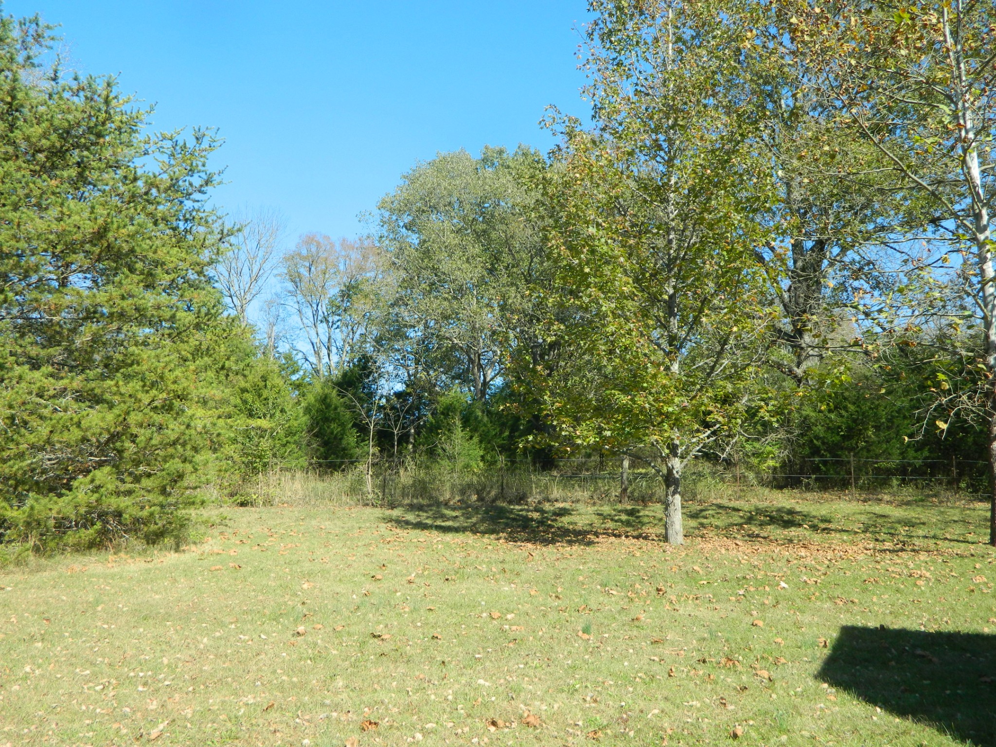521 Chipman Road Bethpage, TN 37022 - Photo 9 of 22 Gallery Image 9