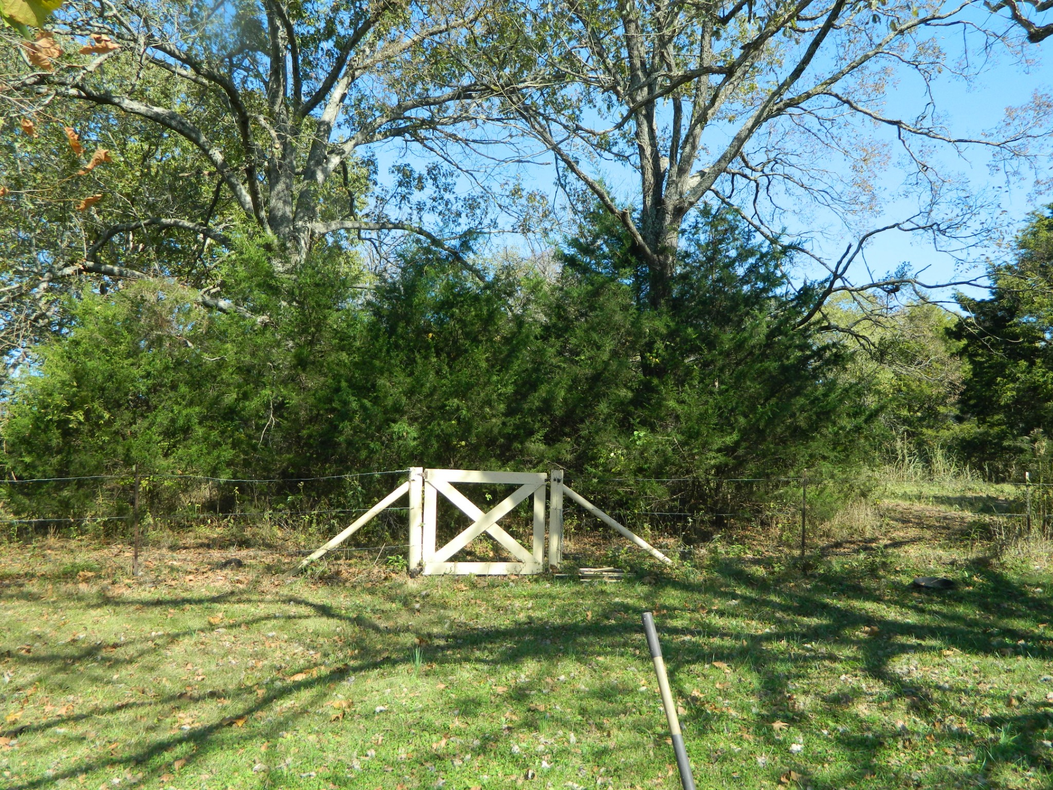 521 Chipman Road Bethpage, TN 37022 - Photo 10 of 22 Gallery Image 10