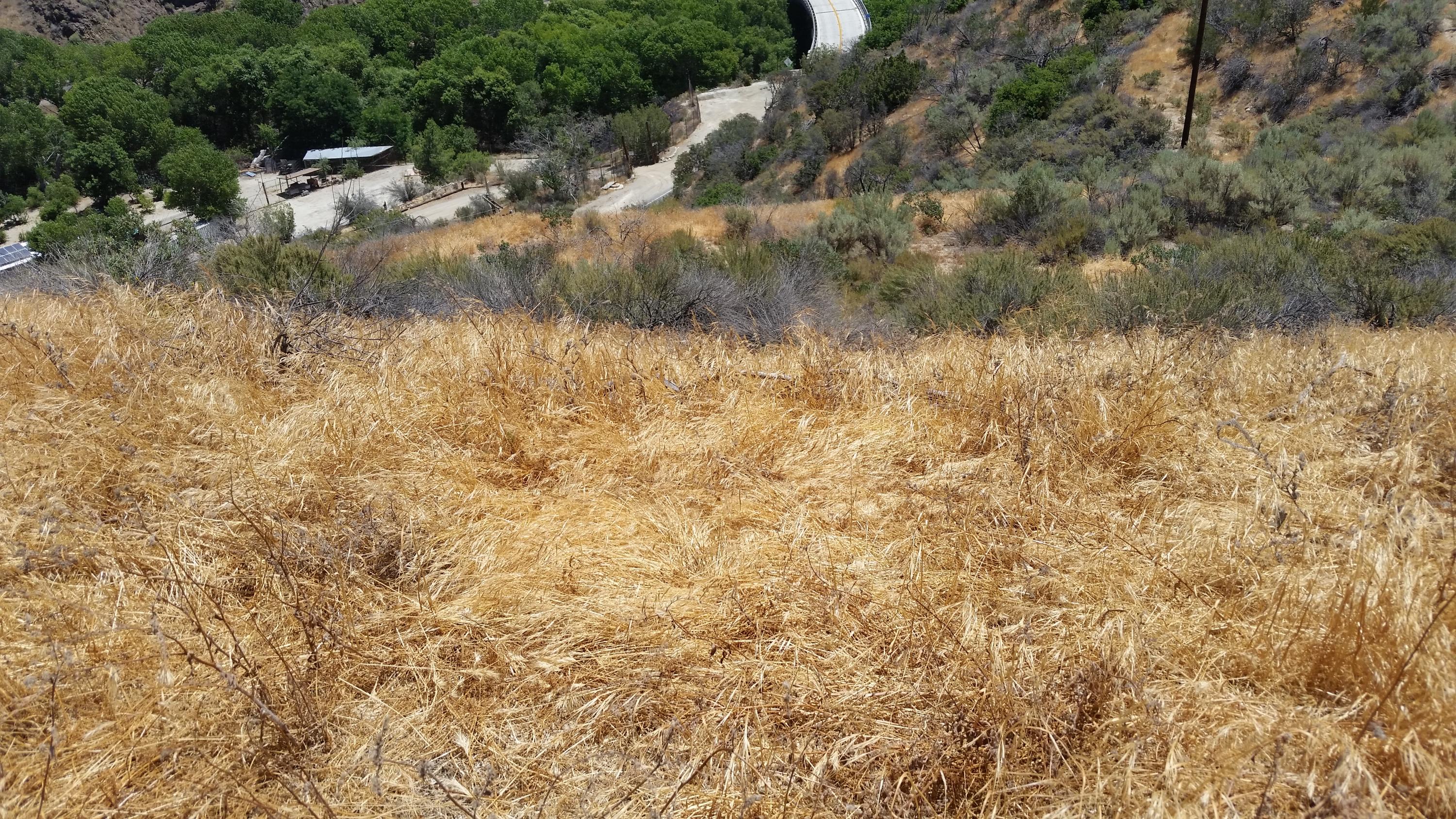 6864 Soledad Canyon Road Acton, CA 93510 - Photo 8 of 9 20170613_120841