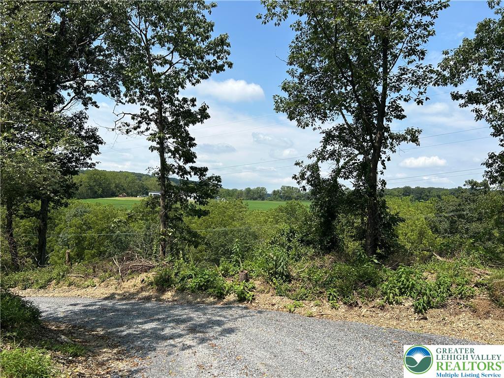 407 Gower Road Nazareth, PA 18064 - Photo 3 of 29 a view of a garden with plants and large trees