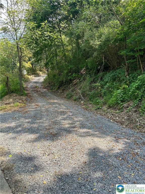 407 Gower Road Nazareth, PA 18064 - Photo 5 of 29 a view of a yard with a tree