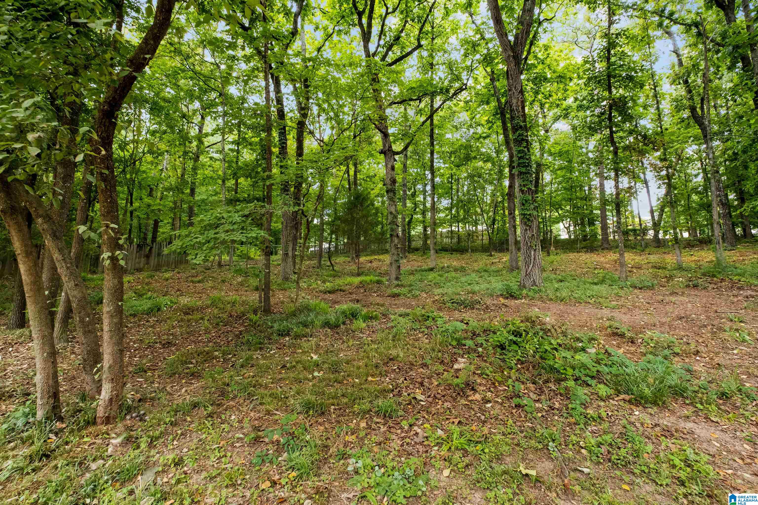 6228 Cahaba Valley Road Birmingham, AL 35242 - Photo 51 of 58