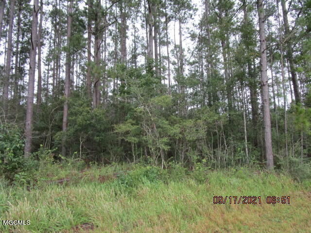 Nhn Stonecypher Road Lucedale, MS 39452 - Photo 1 of 3 IMG_4900
