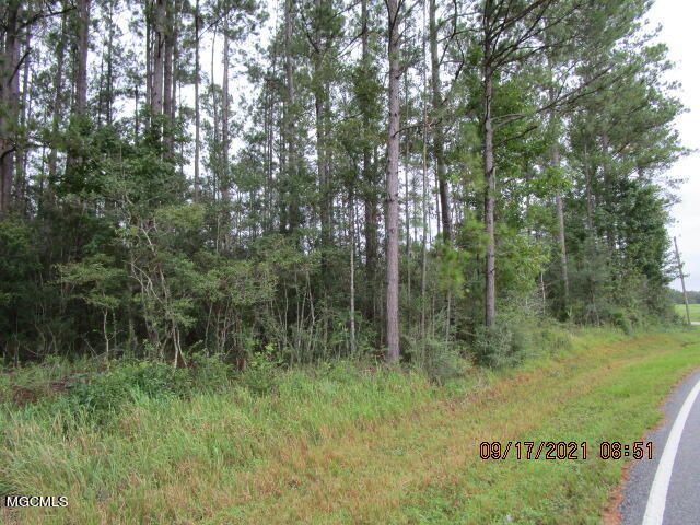 Nhn Stonecypher Road Lucedale, MS 39452 - Photo 2 of 3 IMG_4899