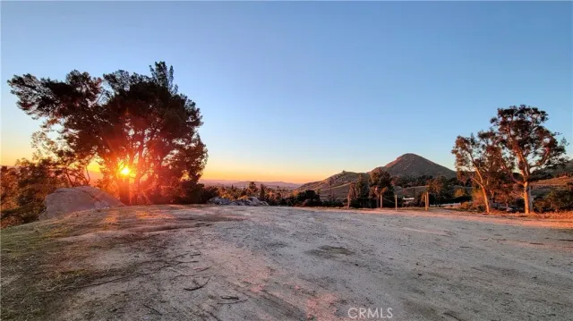 a view of large trees with a big yard