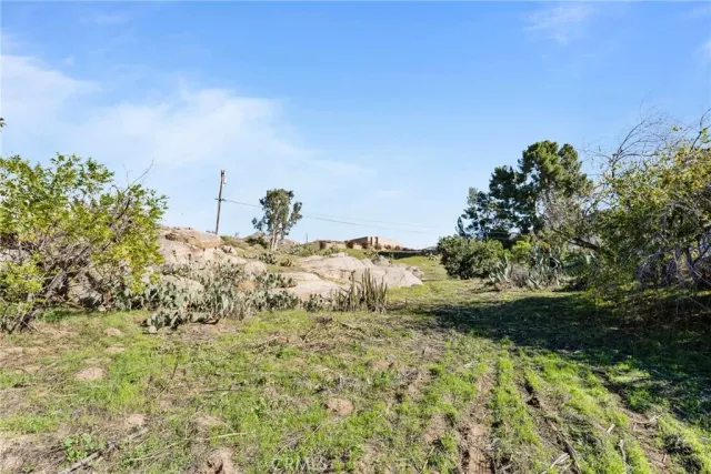 a view of a dry yard with mountain view