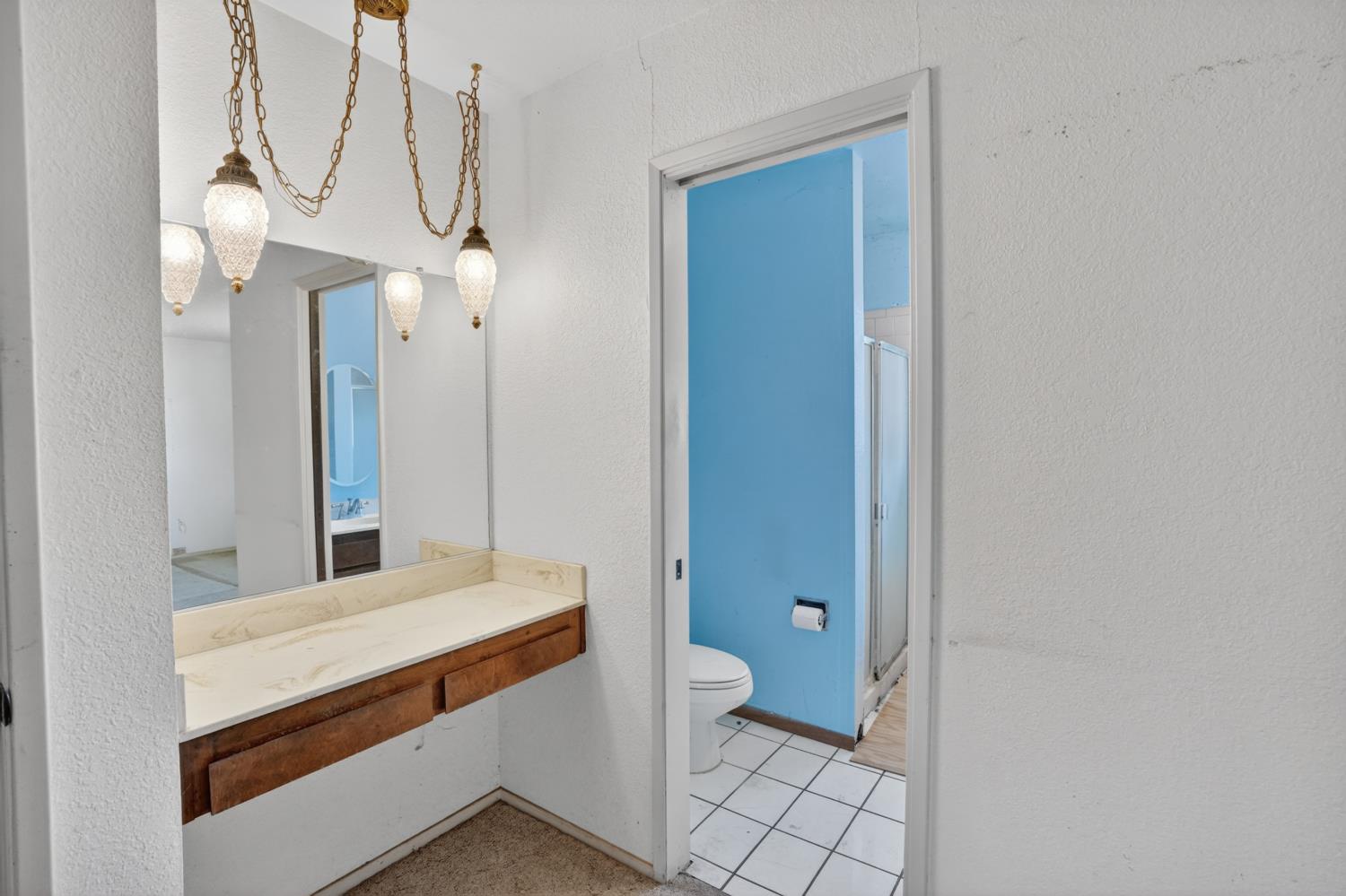 8465 Dillard Road Wilton, CA 95693 - Photo 27 of 49 Master bath