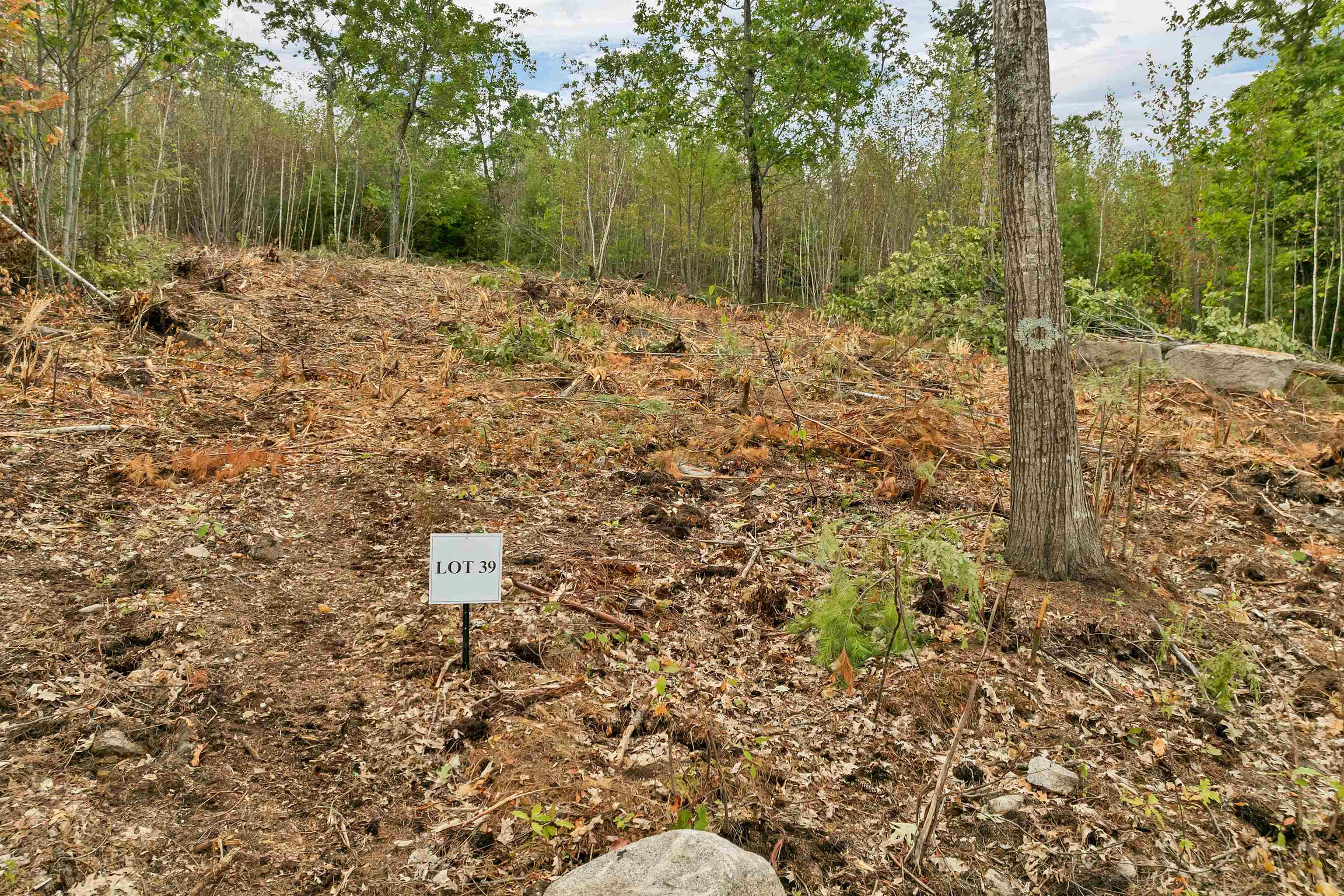 0 Long Stack Lane, Unit 39 Wolfeboro, NH 03894 - Photo 3 of 11