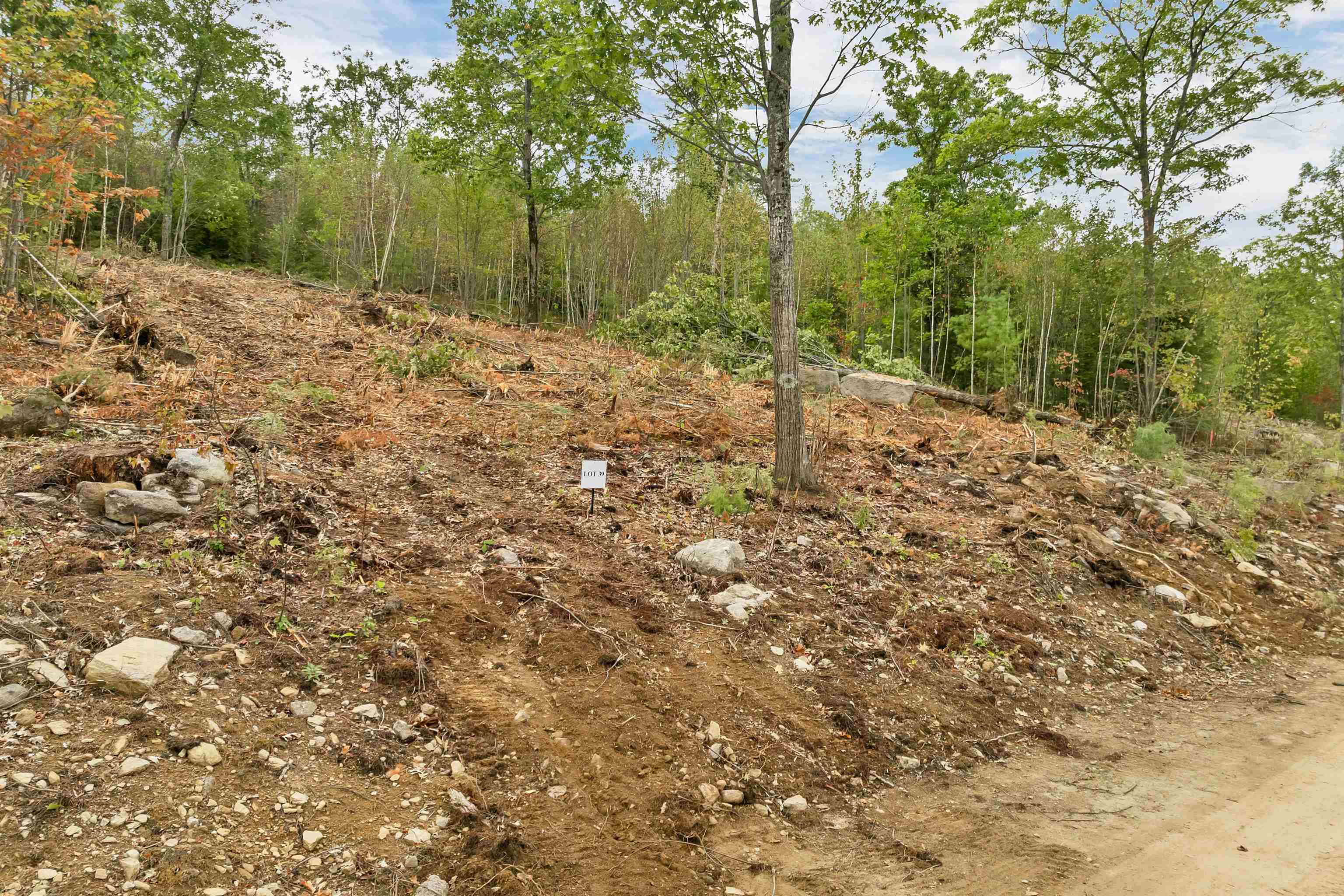 0 Long Stack Lane, Unit 39 Wolfeboro, NH 03894 - Photo 4 of 11