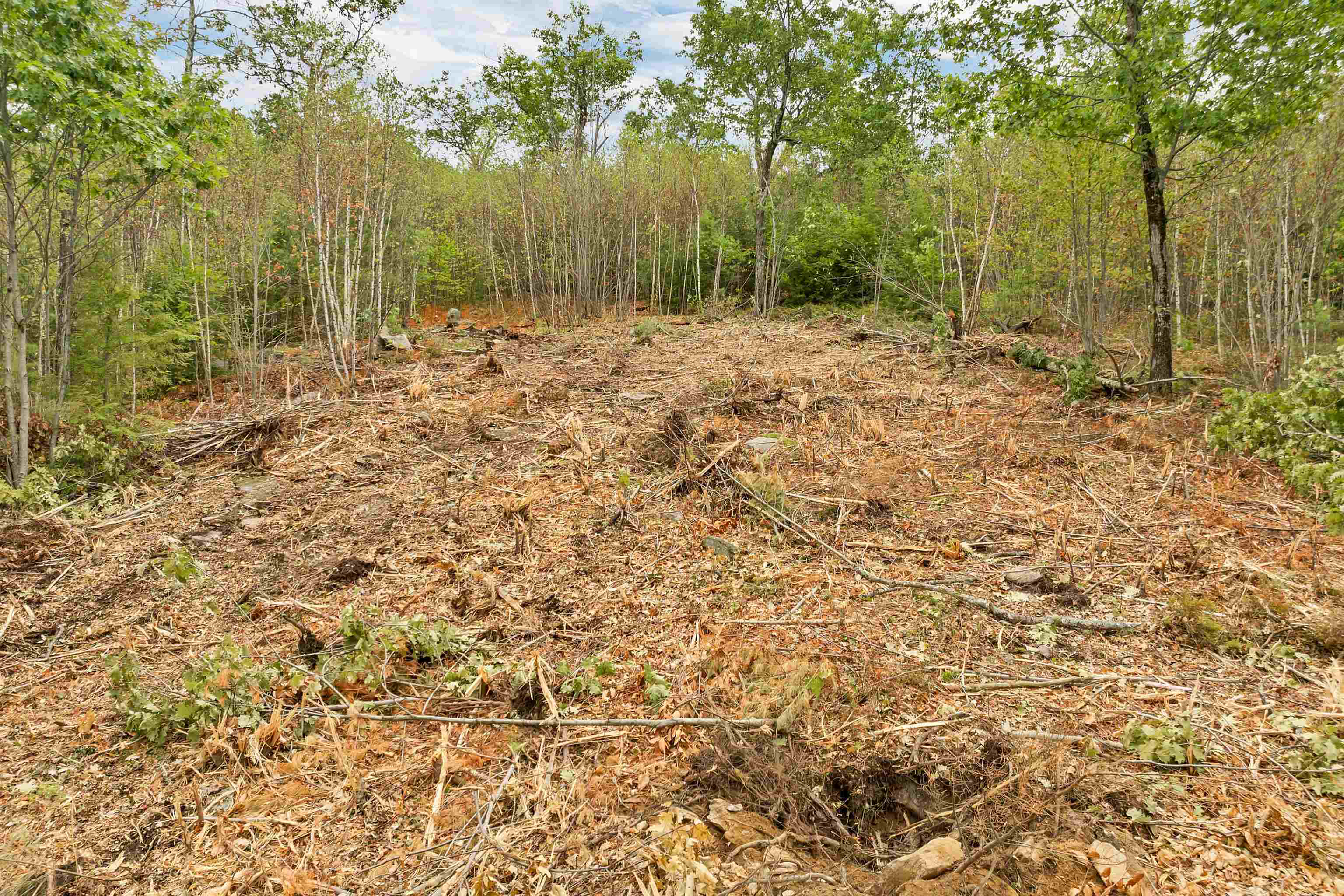 0 Long Stack Lane, Unit 39 Wolfeboro, NH 03894 - Photo 6 of 11