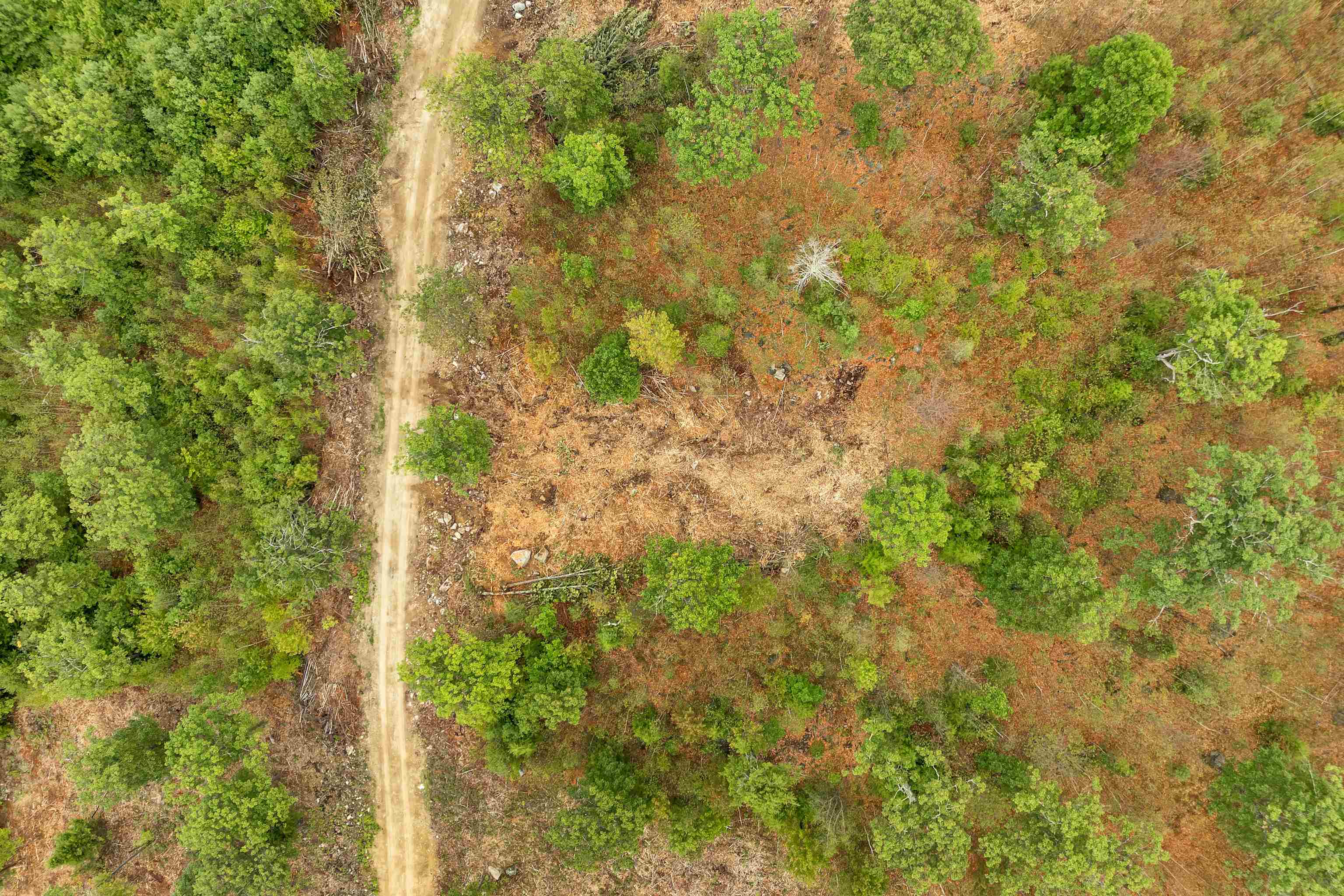 0 Long Stack Lane, Unit 39 Wolfeboro, NH 03894 - Photo 9 of 11