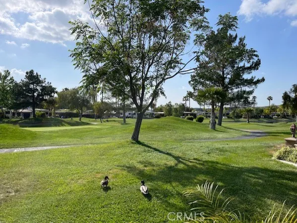a view of building with trees