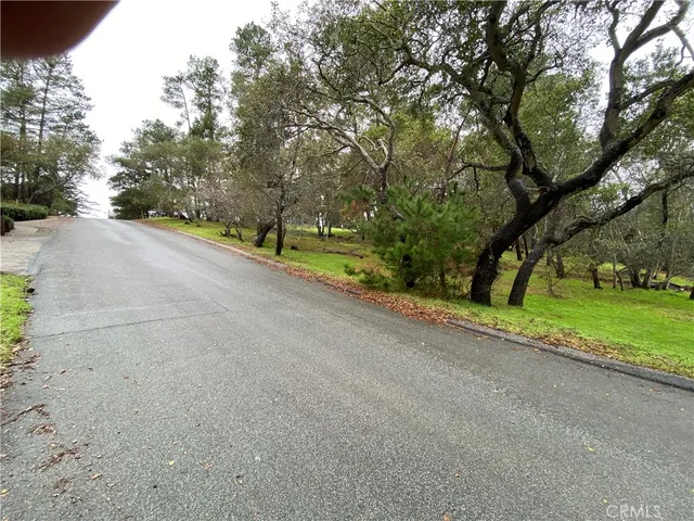 a view of road and trees