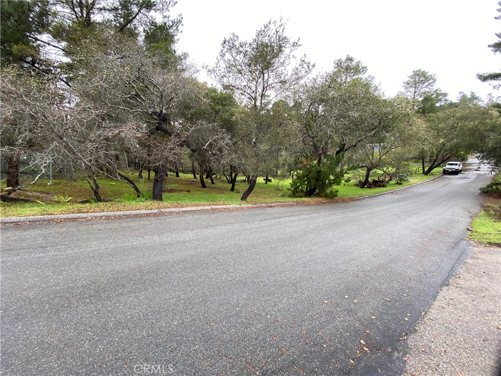 0 Kenneth Drive Cambria, CA 93428 - Photo 16 of 20 a view of road and trees