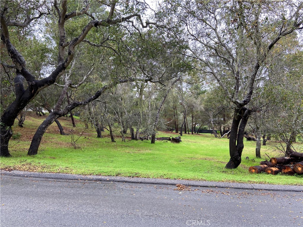 0 Kenneth Drive Cambria, CA 93428 - Photo 2 of 20 a view of a park with large trees