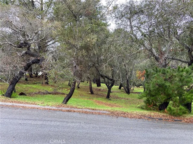 a view of a yard with a tree