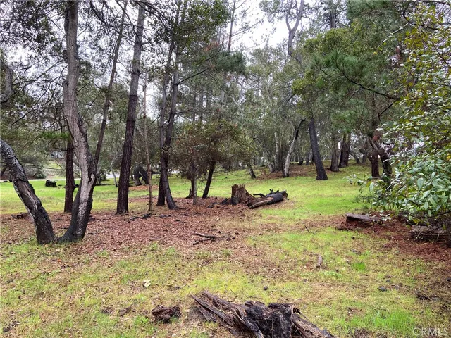 a view of a backyard with large trees