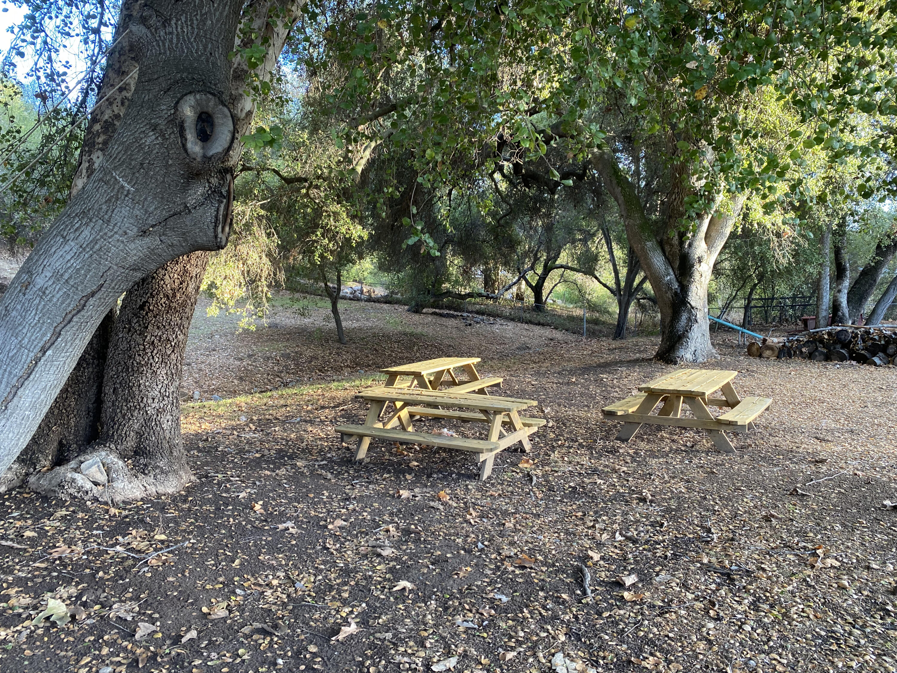 3705 La Canada Road Fallbrook, CA 92028 - Photo 11 of 68 a view of a park with large trees