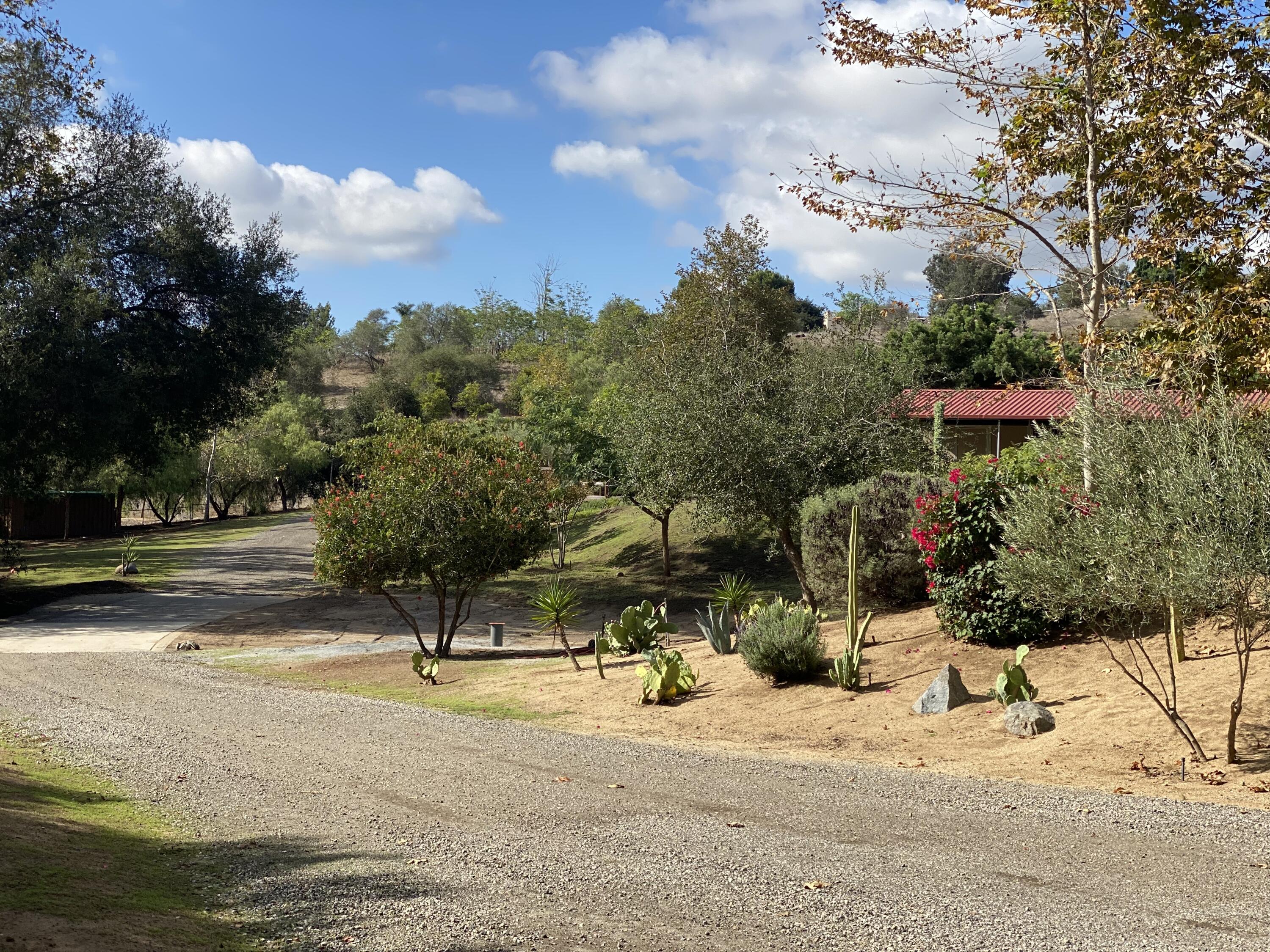 3705 La Canada Road Fallbrook, CA 92028 - Photo 3 of 68 a view of a park with large trees