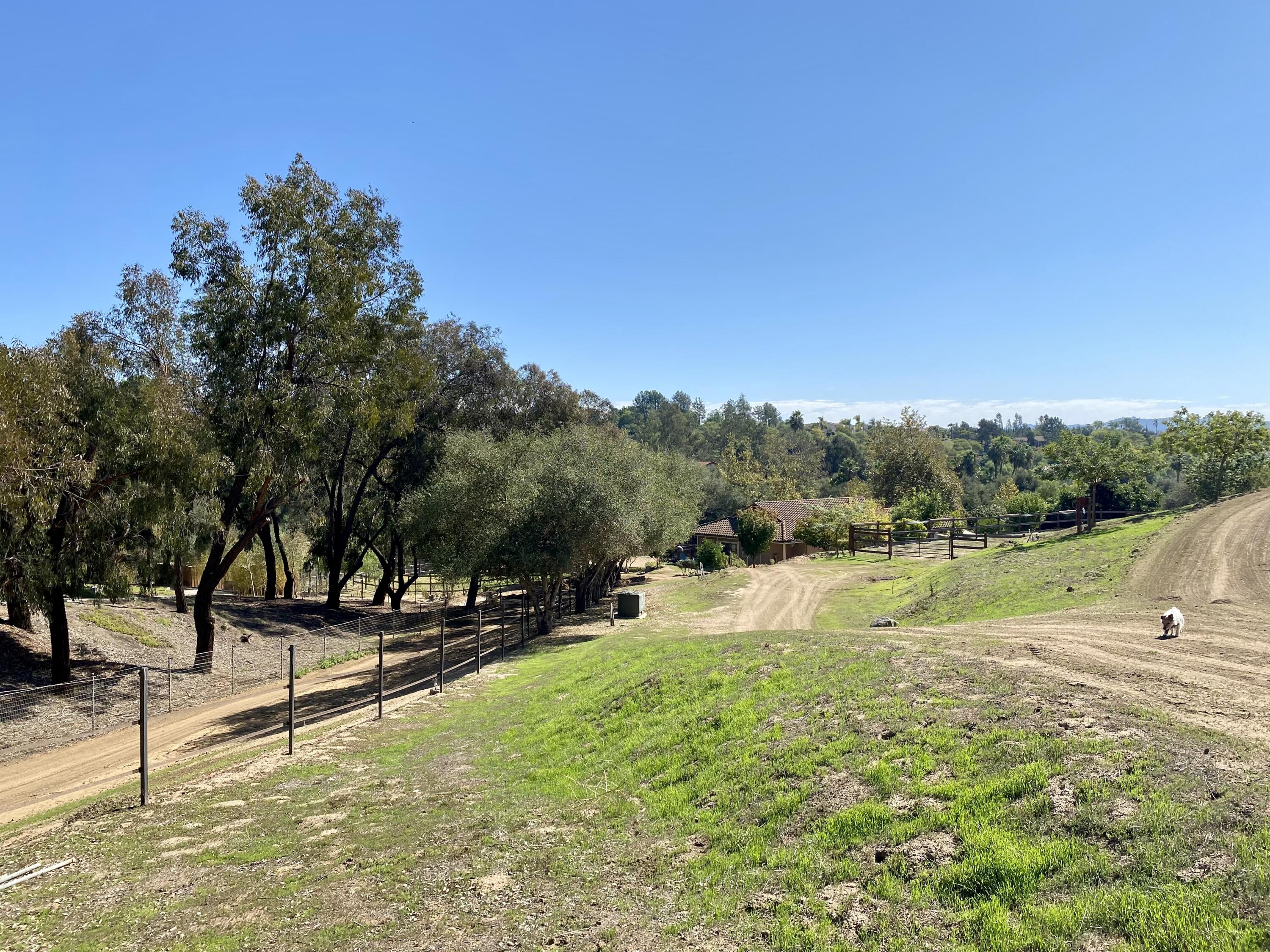 3705 La Canada Road Fallbrook, CA 92028 - Photo 41 of 68 a view of a swimming pool with a yard