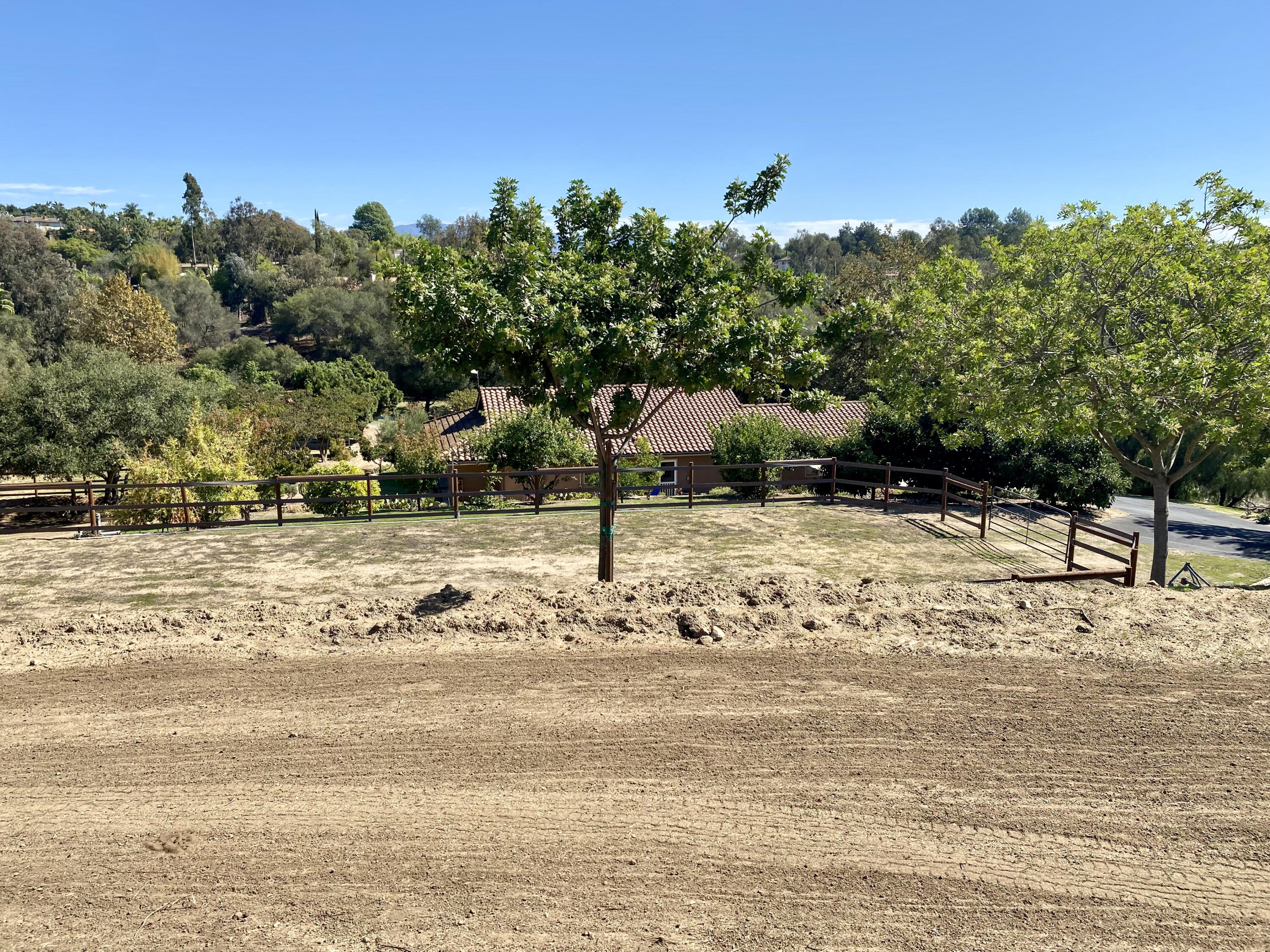 3705 La Canada Road Fallbrook, CA 92028 - Photo 42 of 68 a view of a yard with a tree