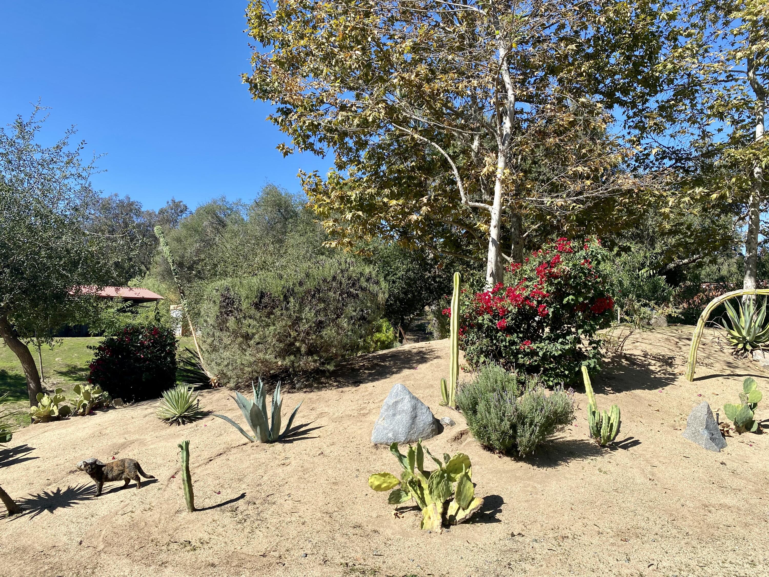 3705 La Canada Road Fallbrook, CA 92028 - Photo 49 of 68 a view of a backyard with chairs and potted plants
