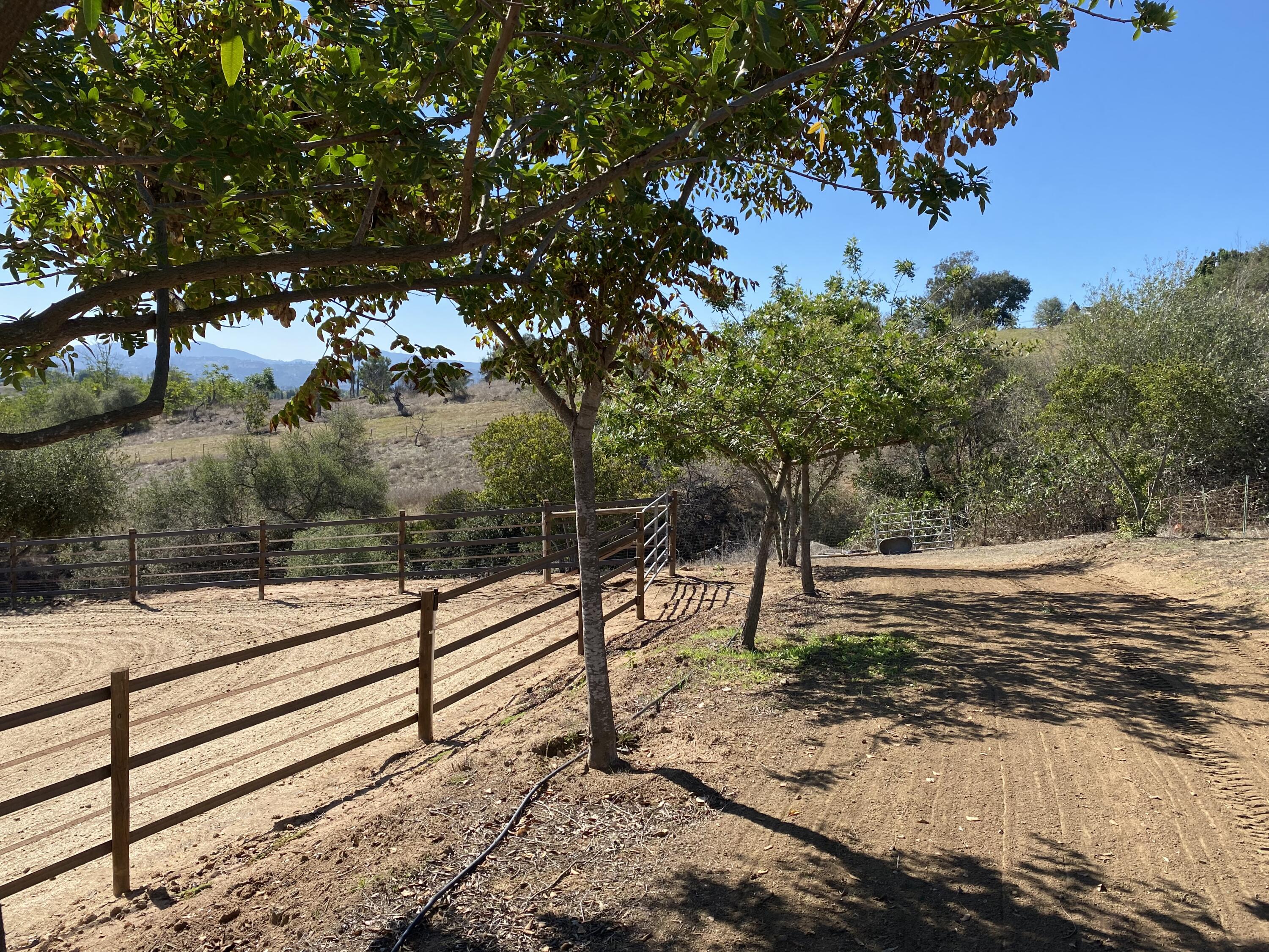 3705 La Canada Road Fallbrook, CA 92028 - Photo 50 of 68 a view of a yard