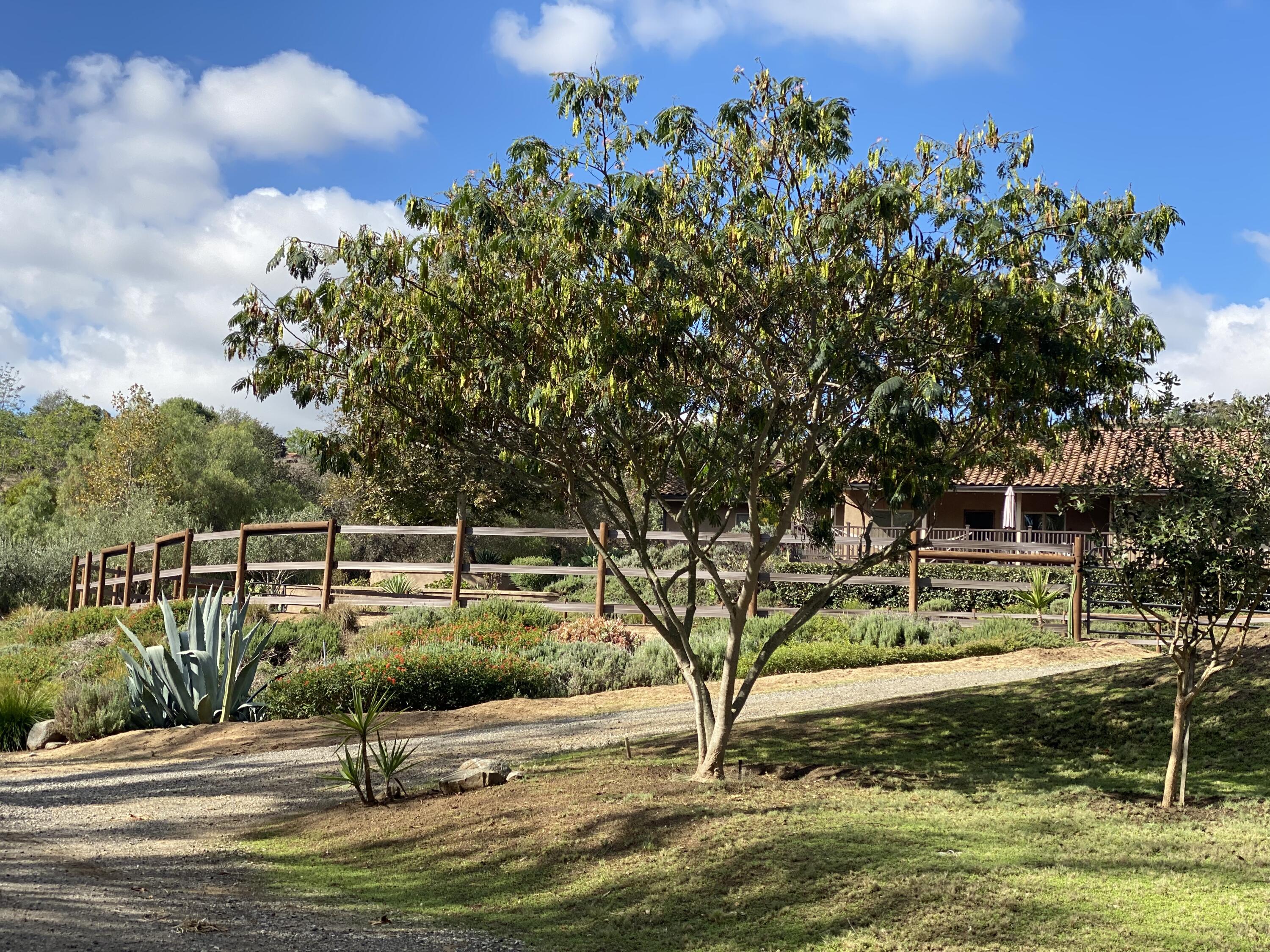 3705 La Canada Road Fallbrook, CA 92028 - Photo 6 of 68 a view of a swimming pool with a patio